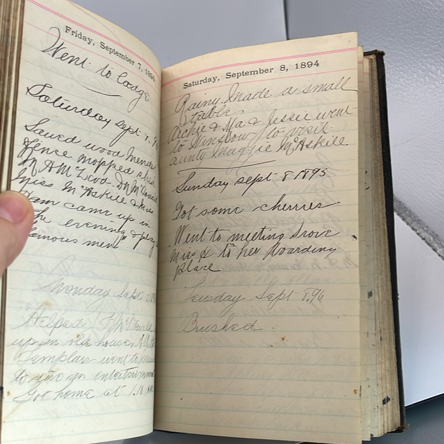 Personal Diary 1894 - image 6 of 8