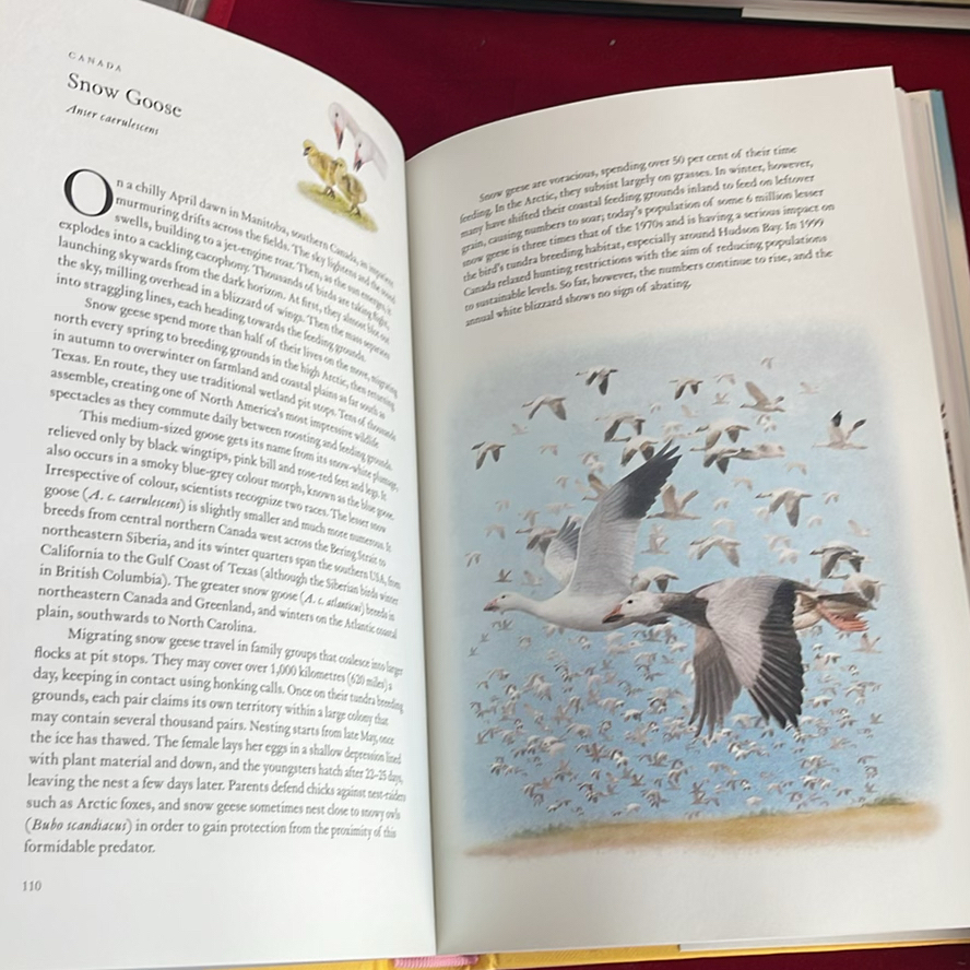 Books On Flowers And Birds - image 8 of 12