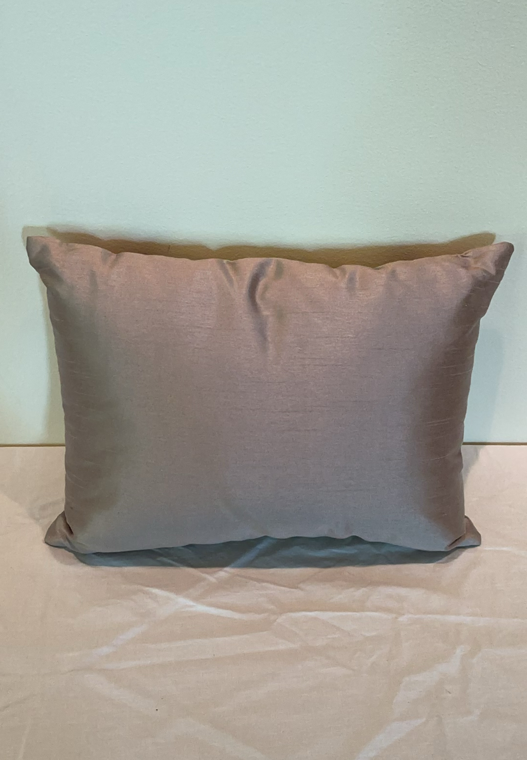 Chocolate And Mint Throw Pillows - image 5 of 5