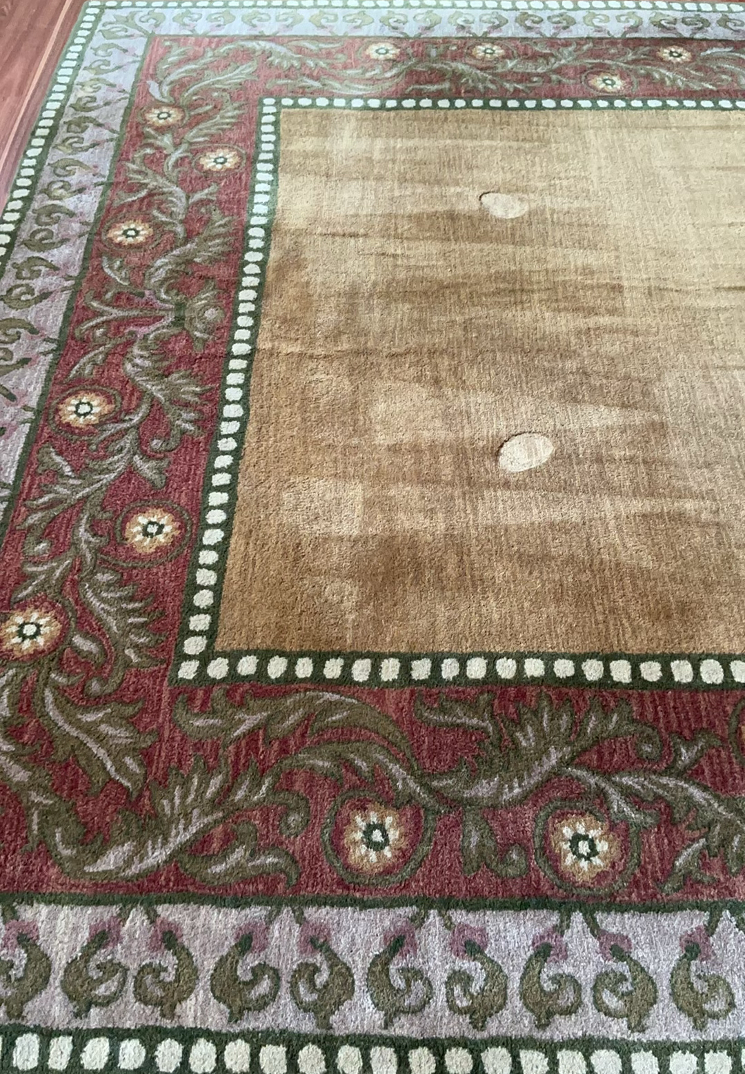Two Beautiful Area Rugs - image 3 of 7
