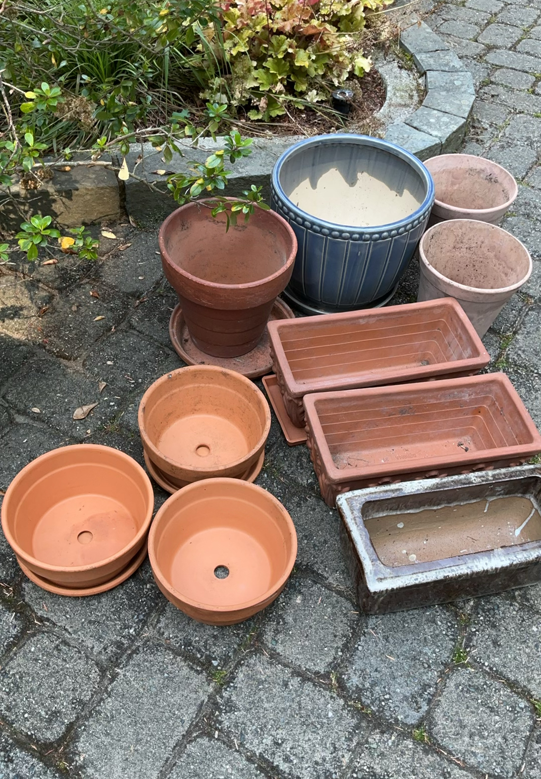 Terra Cotta And Ceramic Pots For Plants - image 1 of 4