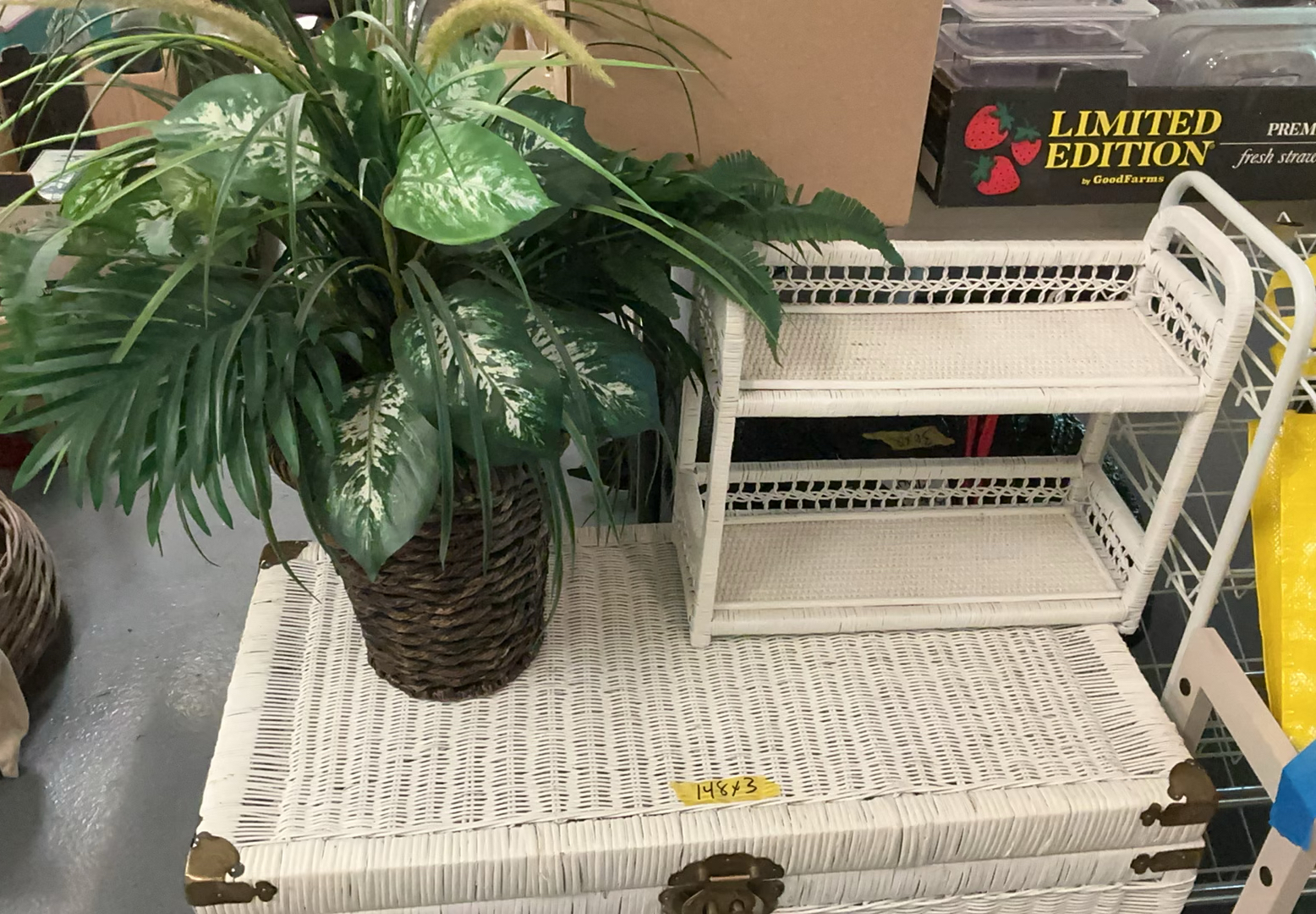 White Wicker Chest, Small Shelf, Fake Plant - image 5 of 5
