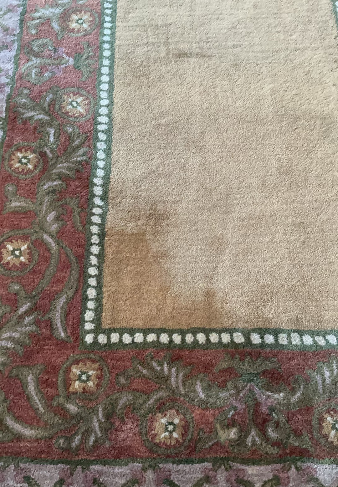 Two Beautiful Area Rugs - image 6 of 7