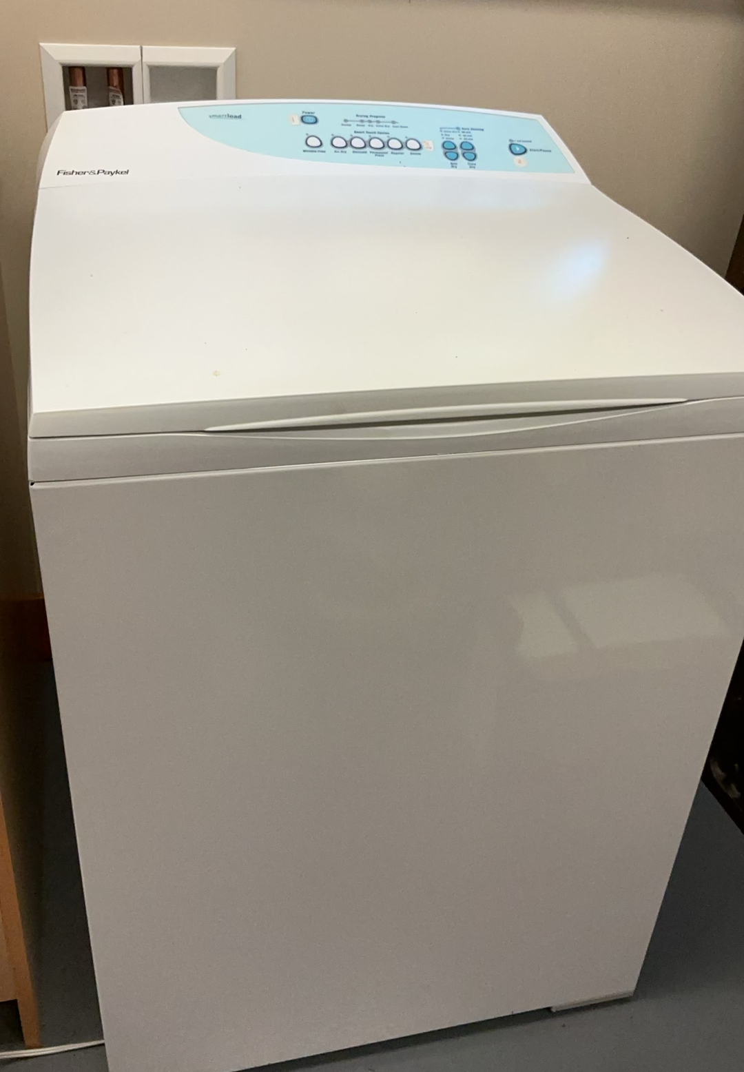 Fisher & Paykel Dryer - image 1 of 9