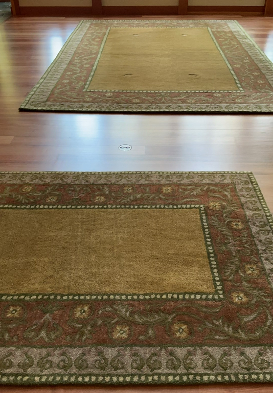 Two Beautiful Area Rugs - image 1 of 7
