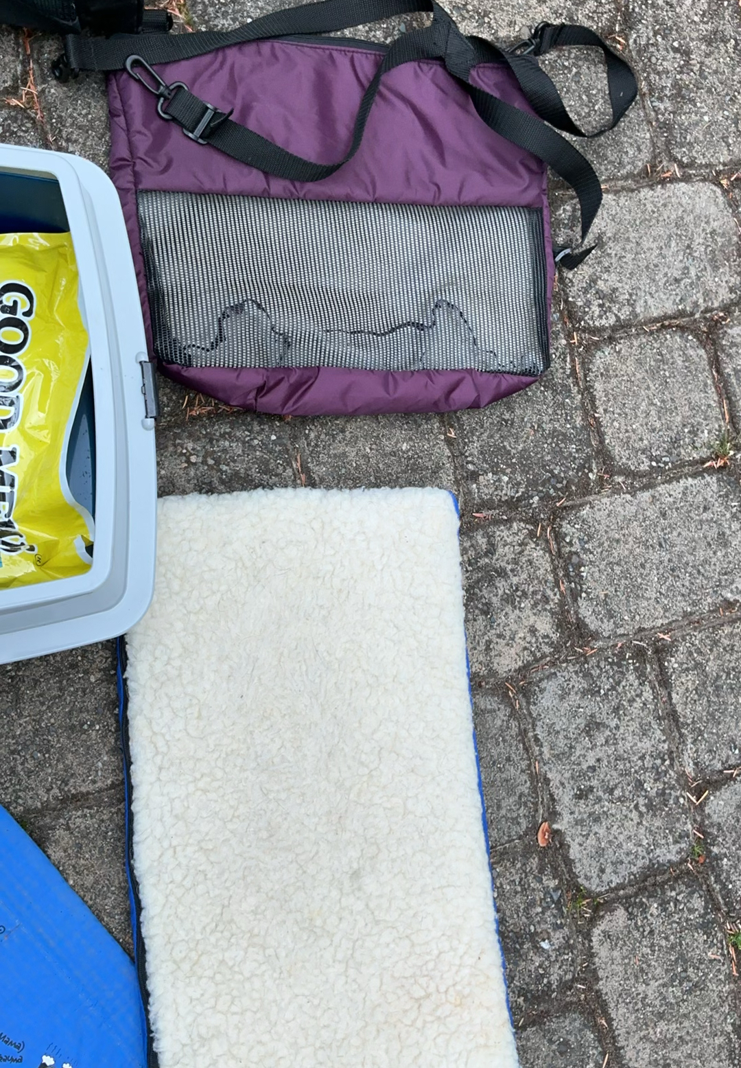 Cat care items bundle: carriers, litter box, litter, cat house, and mats - image 6 of 8