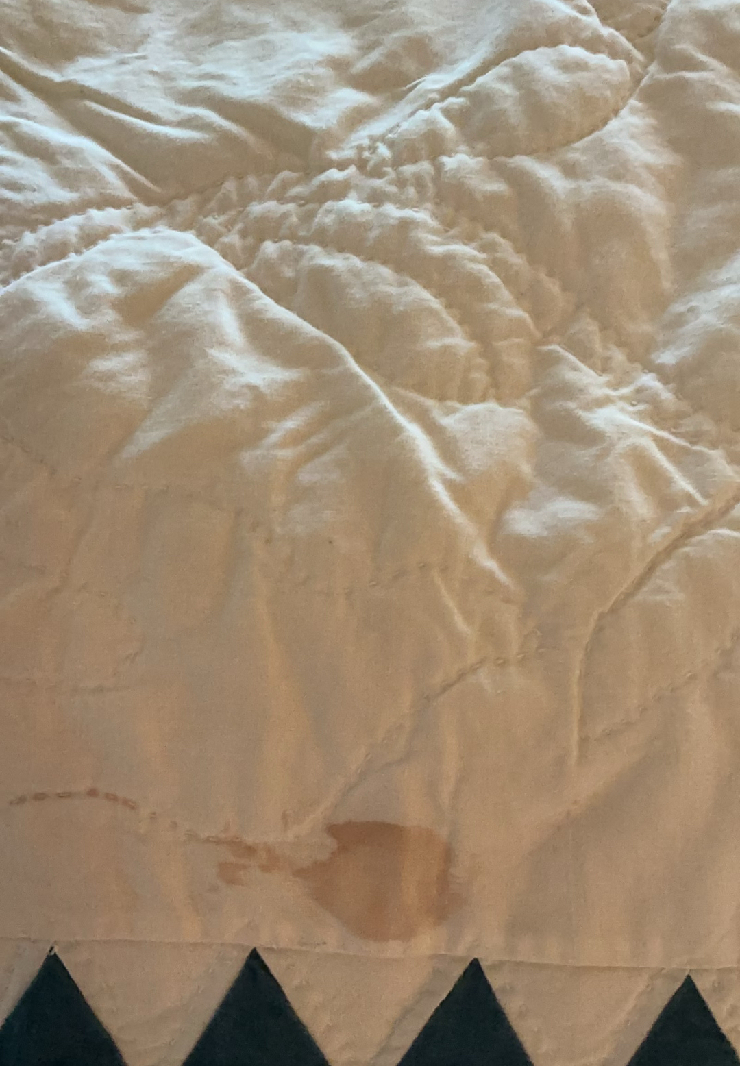 Two Full/Queen Quilts - image 7 of 10