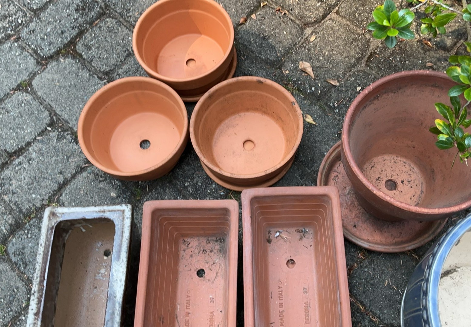 Terra Cotta And Ceramic Pots For Plants - image 4 of 4