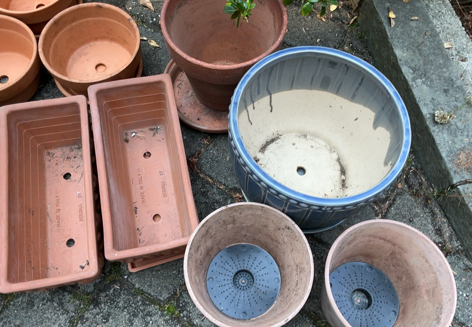 Terra Cotta And Ceramic Pots For Plants - image 3 of 4