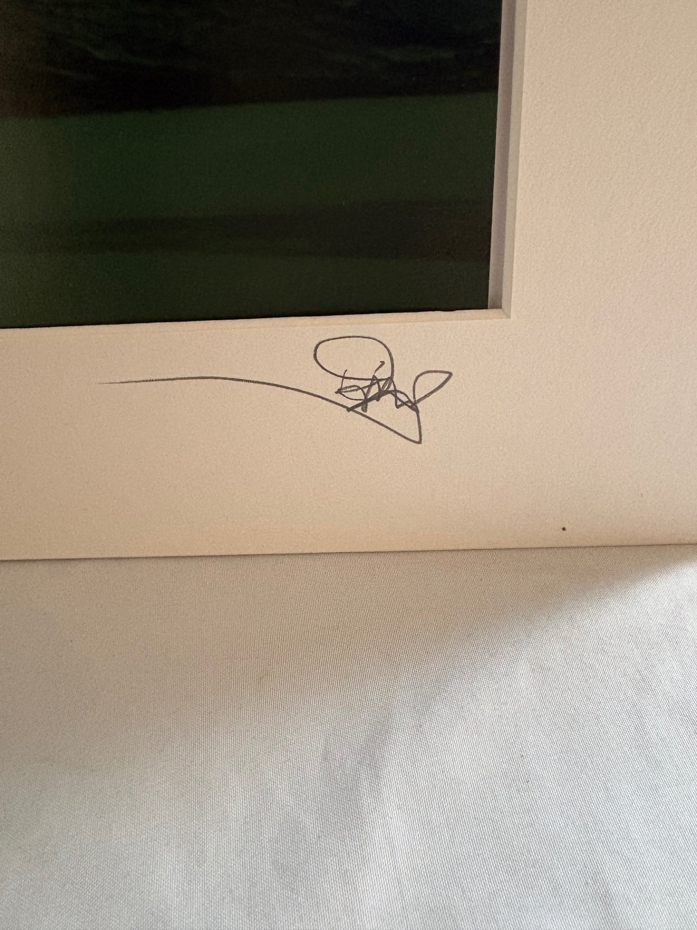 “Flame of the North” signed David Mangels - image 2 of 3