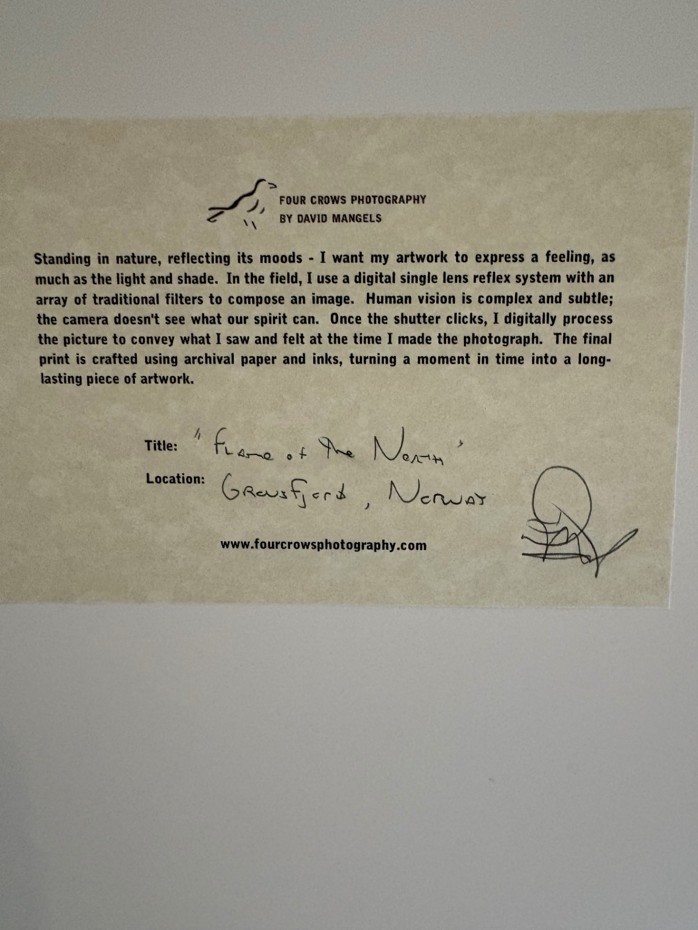 “Flame of the North” signed David Mangels - image 3 of 3