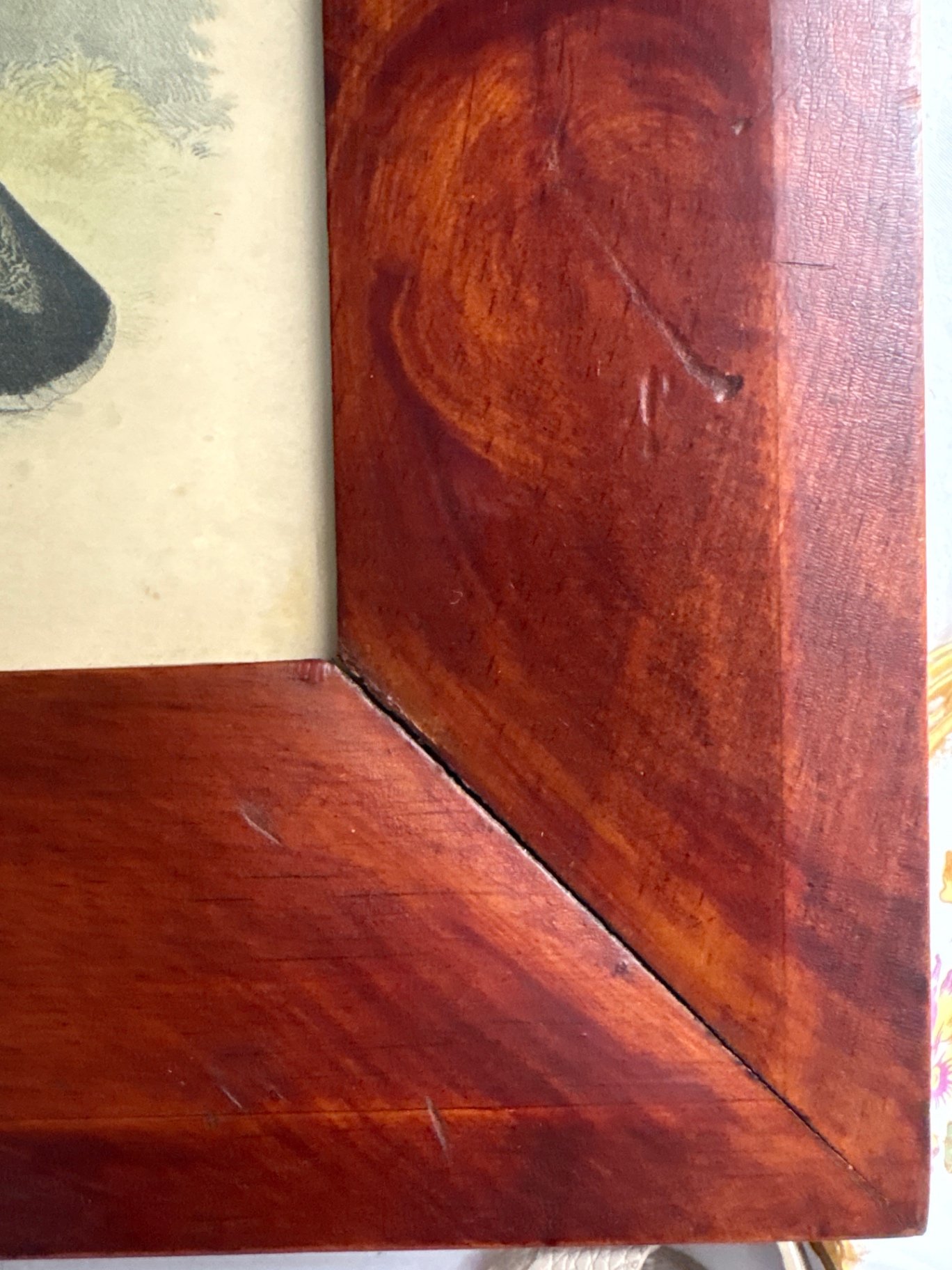 Beautifully Framed Audubon Print “The Wild Turkey”  - image 3 of 3