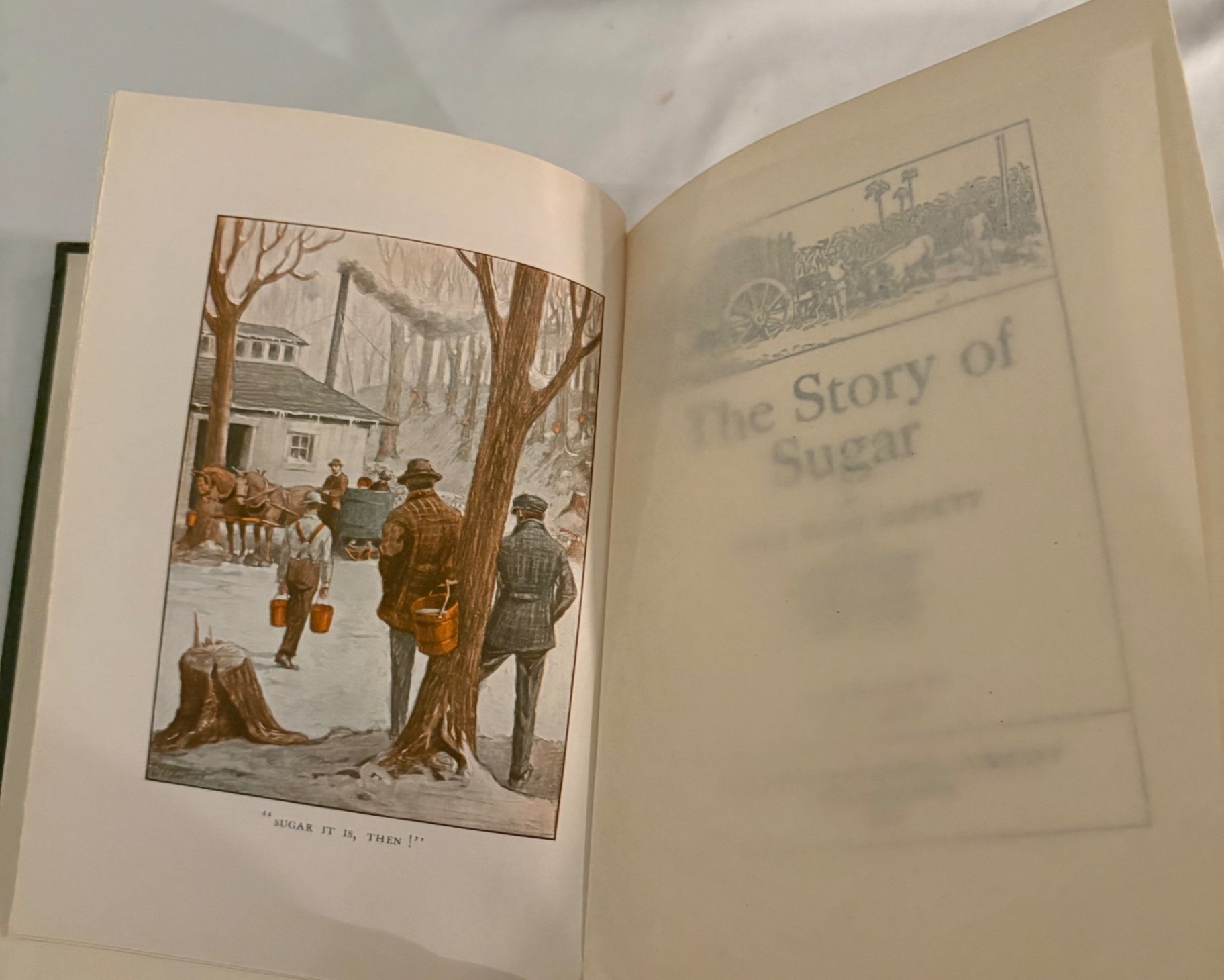 Bassett, The Story of Sugar & The Story of Glass, Illustrator,  C.P Gray - image 9 of 16