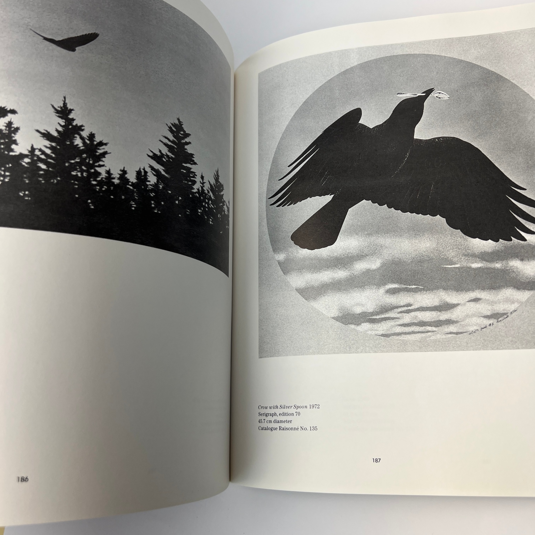 Alex Colville Book by David Burnett Canadian Art 272 pages - image 6 of 8