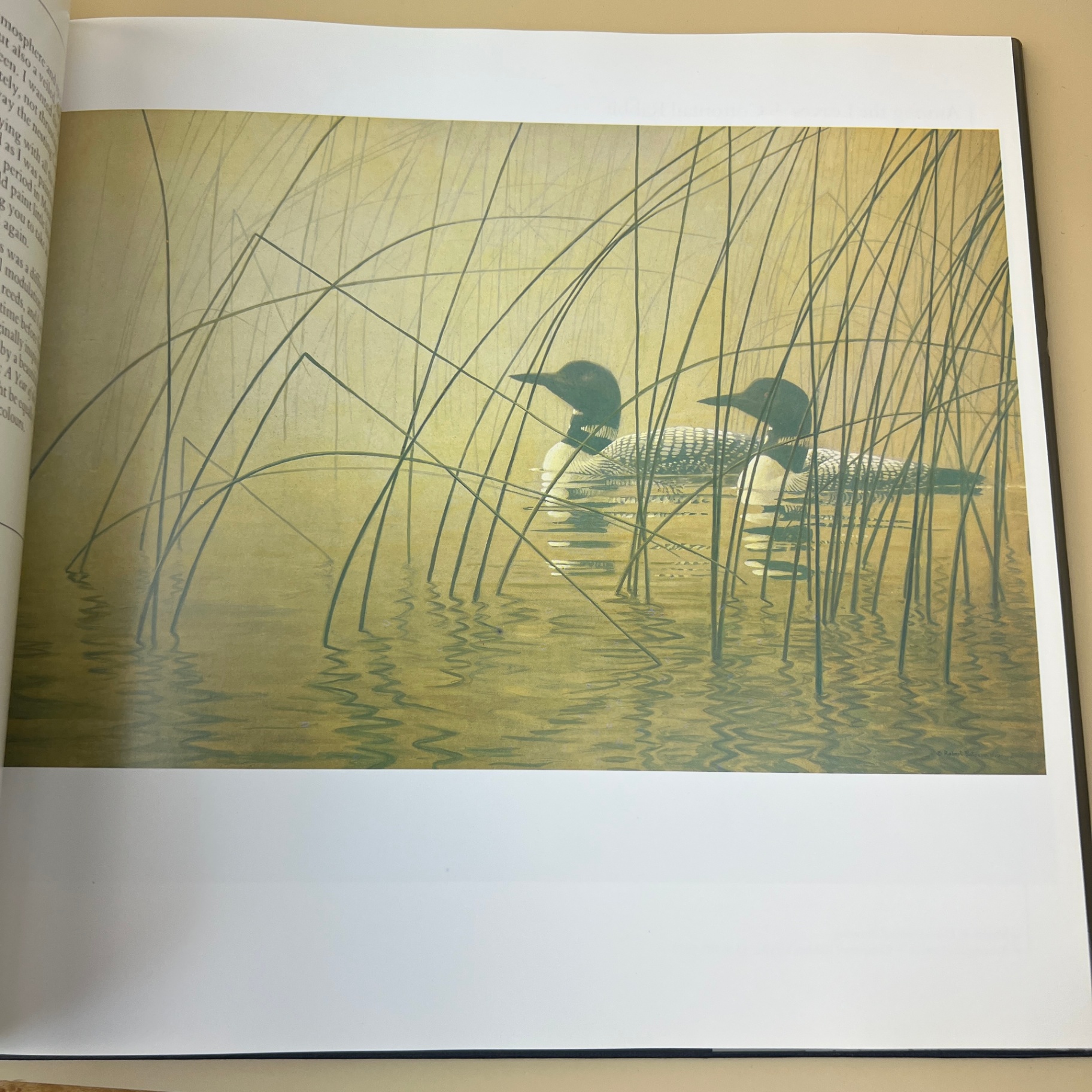 The Art of Robert Bateman Large Coffee Table Book Ramsay Derry - image 7 of 8