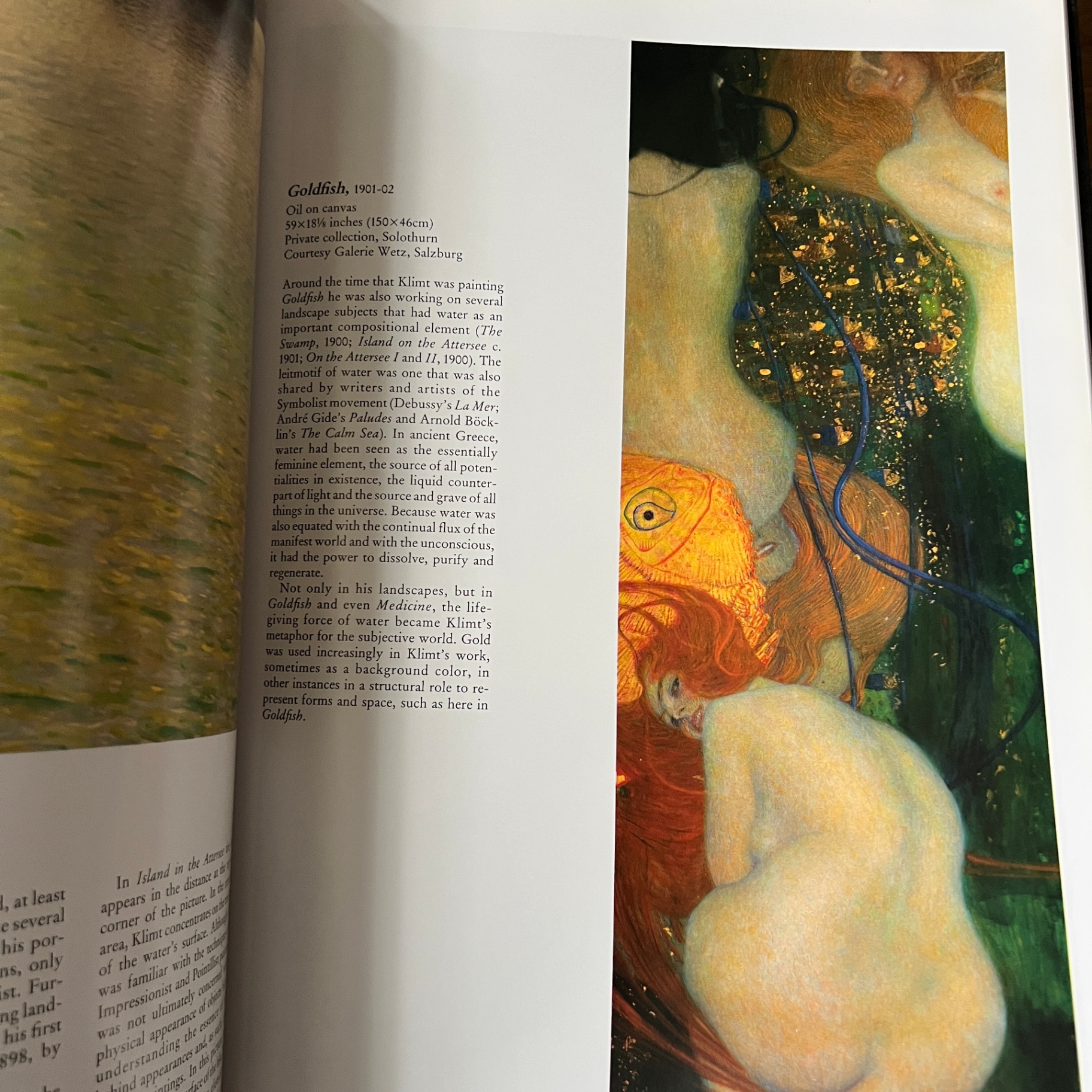 Gustav Klimt Book Maria Constantino  - image 2 of 9
