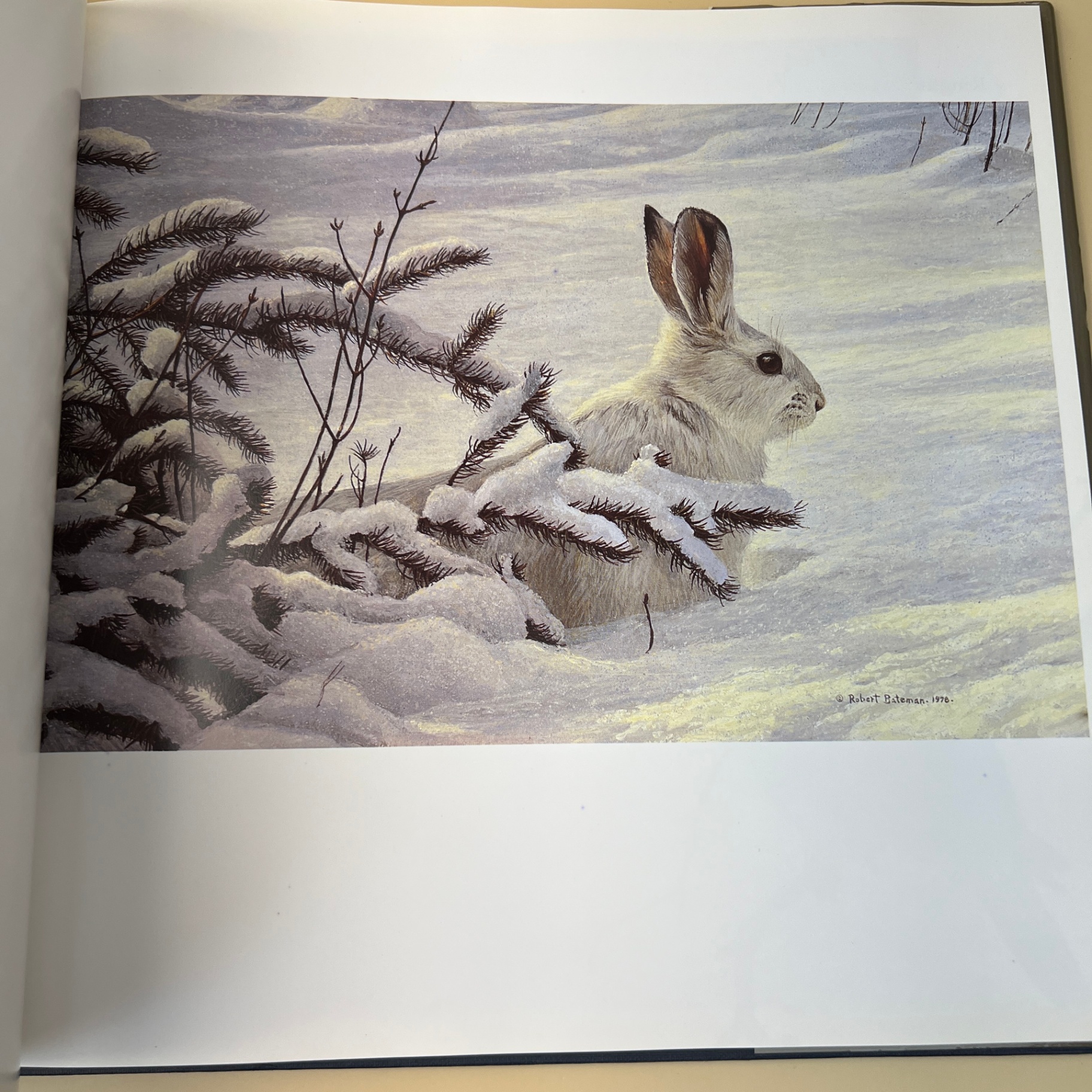 The Art of Robert Bateman Large Coffee Table Book Ramsay Derry - image 4 of 8