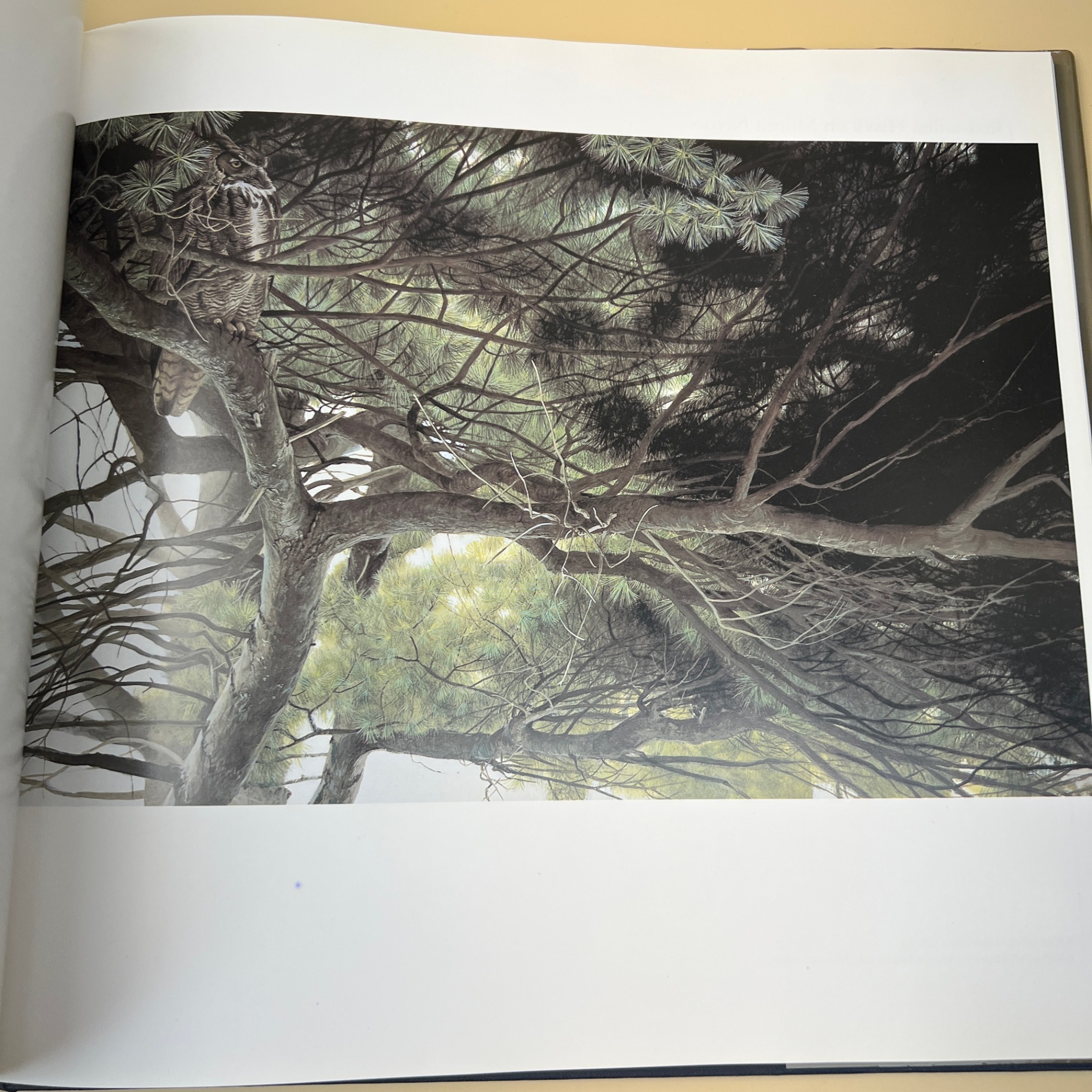 The Art of Robert Bateman Large Coffee Table Book Ramsay Derry - image 5 of 8