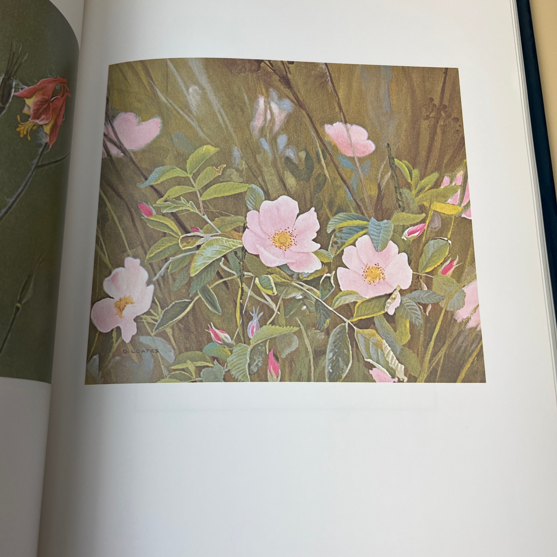 Glen Loates a Brush With Life Large Book Hardcover Wildlife Art - image 6 of 10