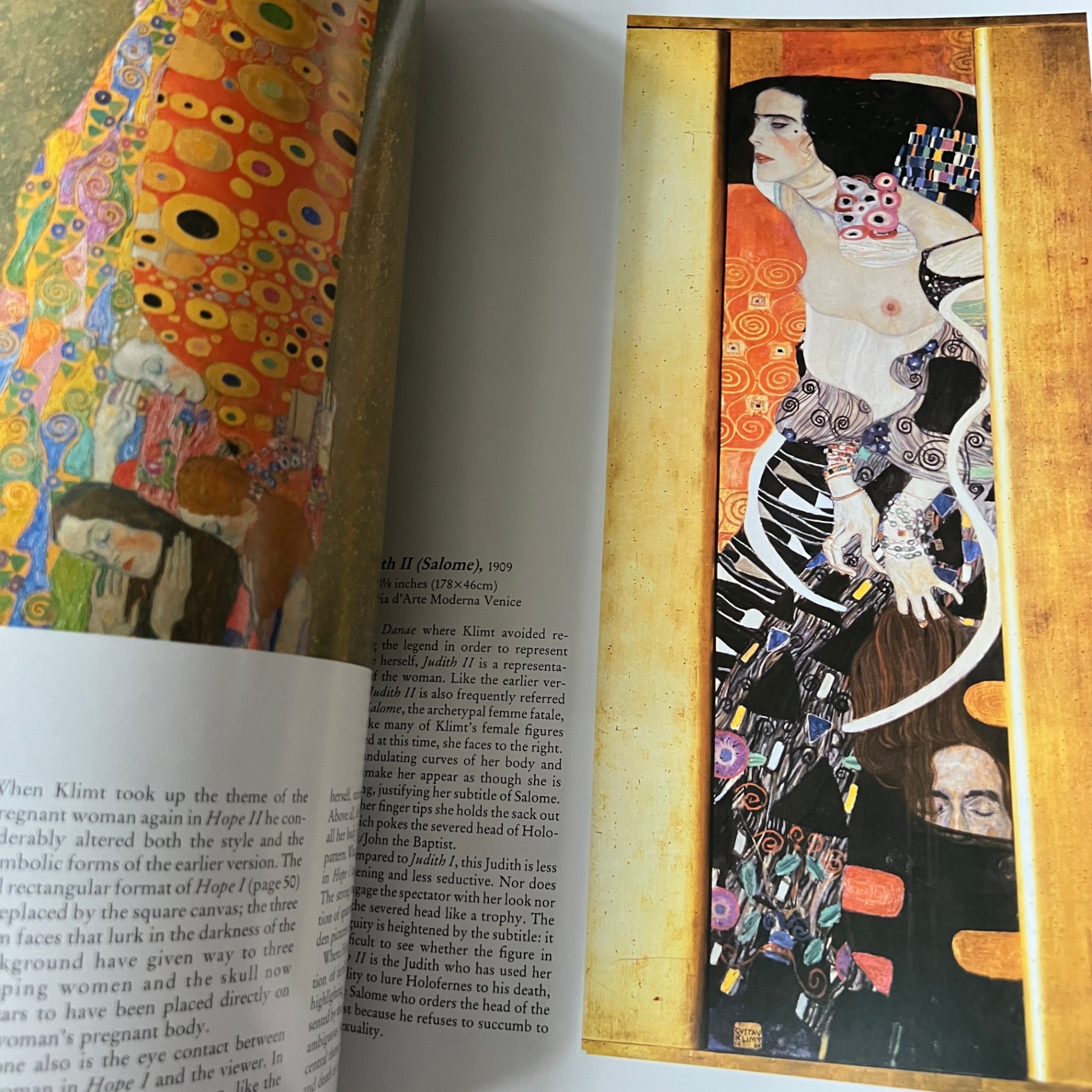 Gustav Klimt Book Maria Constantino  - image 6 of 9