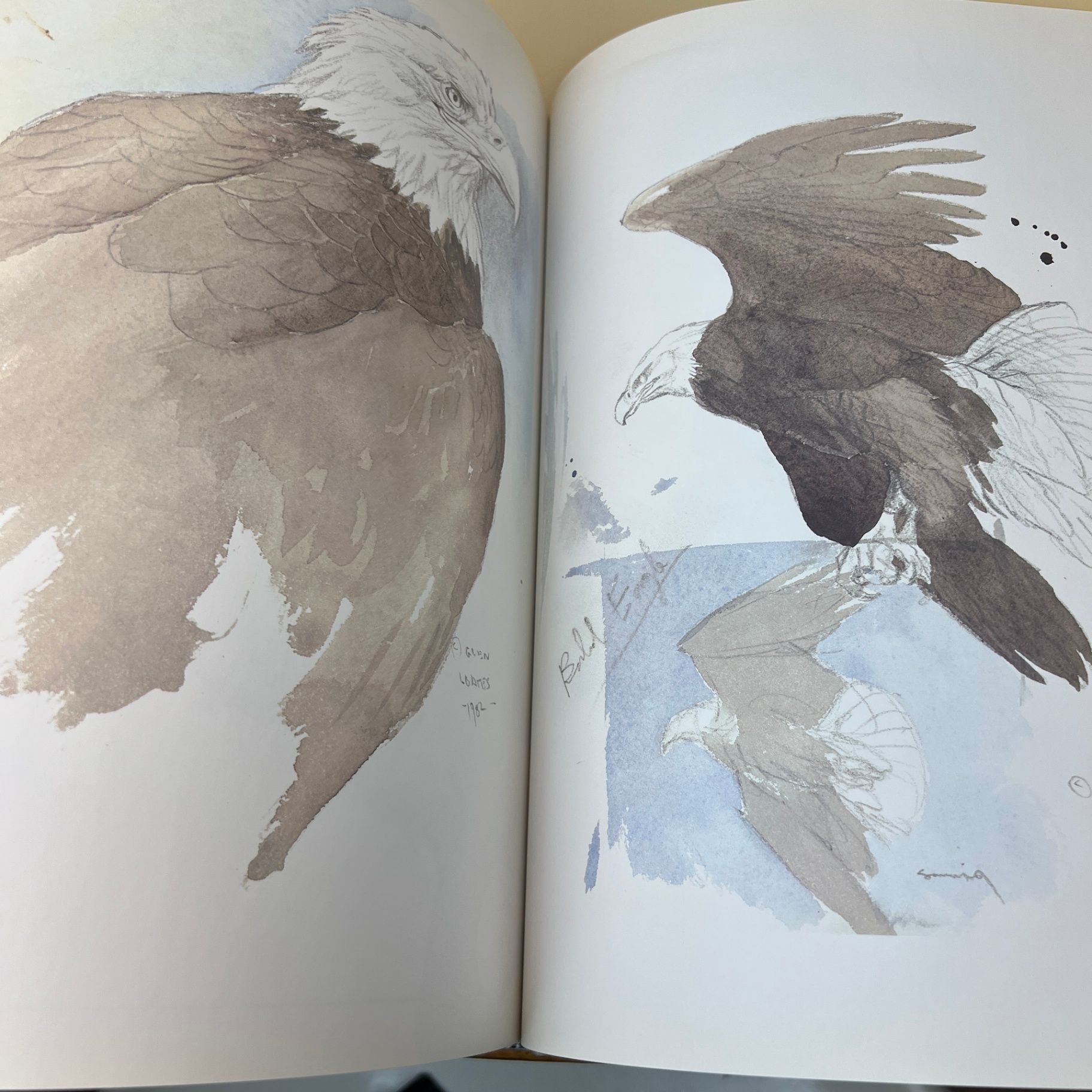 Glen Loates a Brush With Life Large Book Hardcover Wildlife Art - image 7 of 10