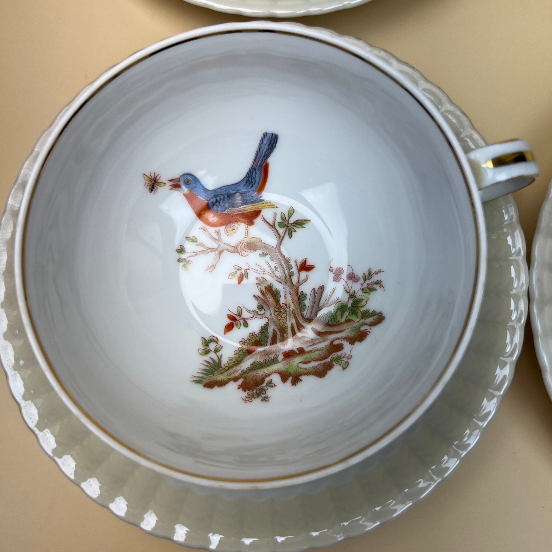 Bernardaud & Co Limoges Fine Porcelain Teacup Set Bird Species 1700s Design - image 8 of 13