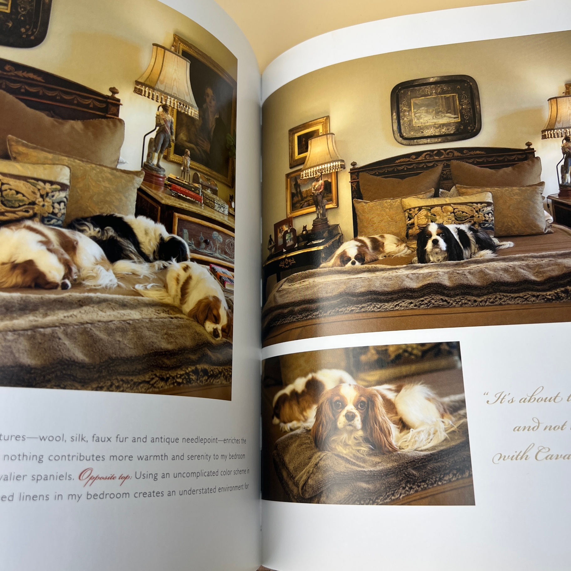 Charles Faudree Details Interior Design Book Maximalist Antiques French Country - image 9 of 10
