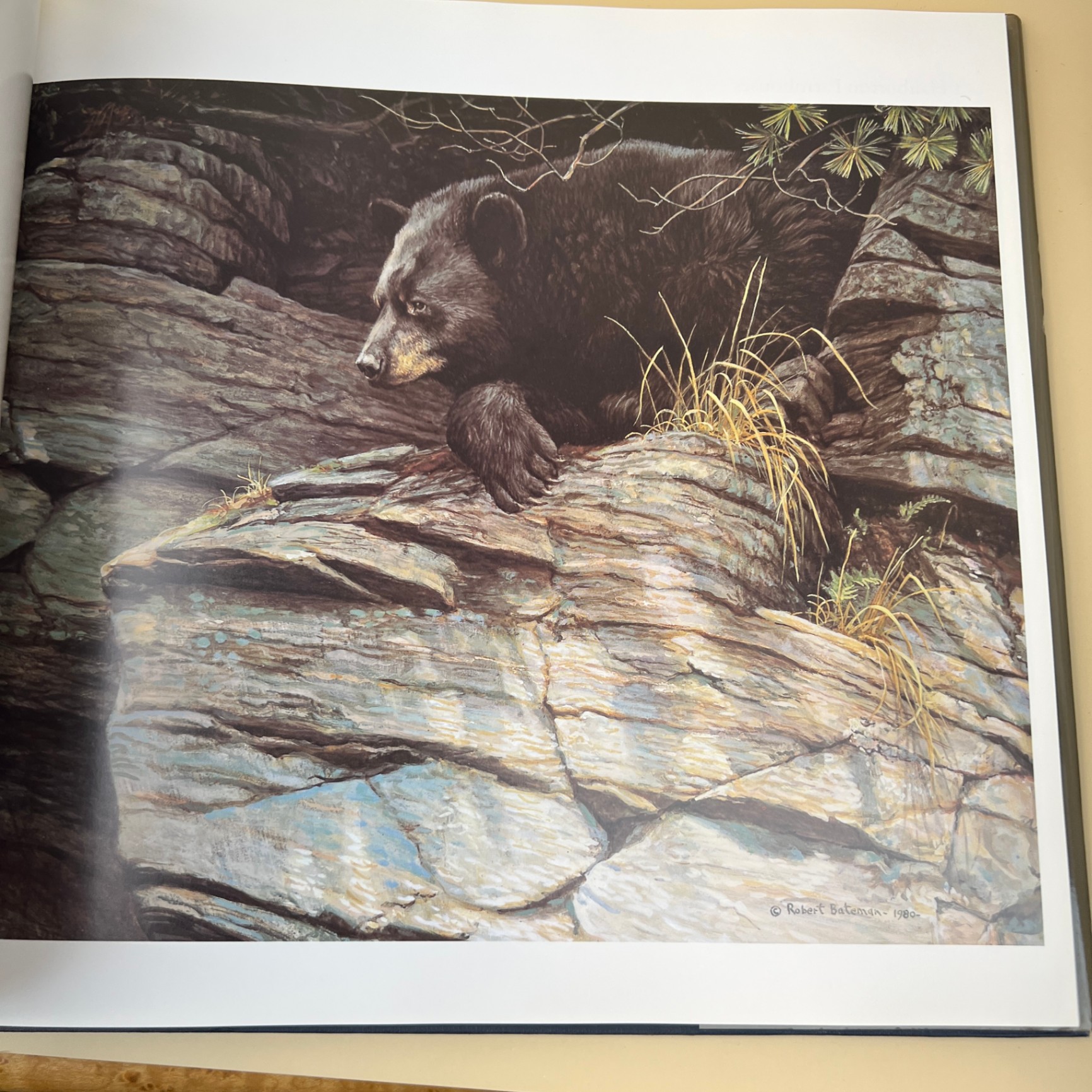 The Art of Robert Bateman Large Coffee Table Book Ramsay Derry - image 6 of 8