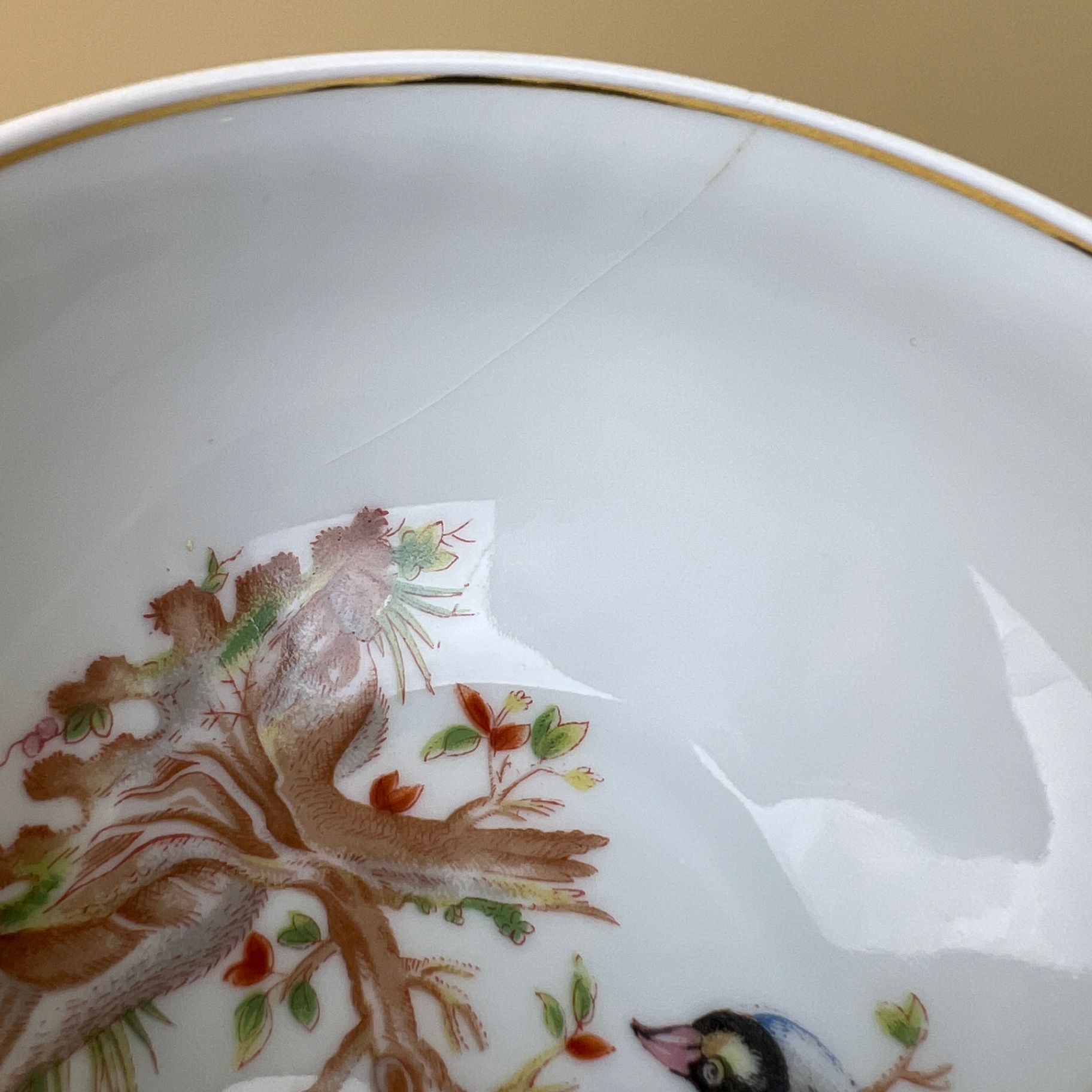 Bernardaud & Co Limoges Fine Porcelain Teacup Set Bird Species 1700s Design - image 12 of 13