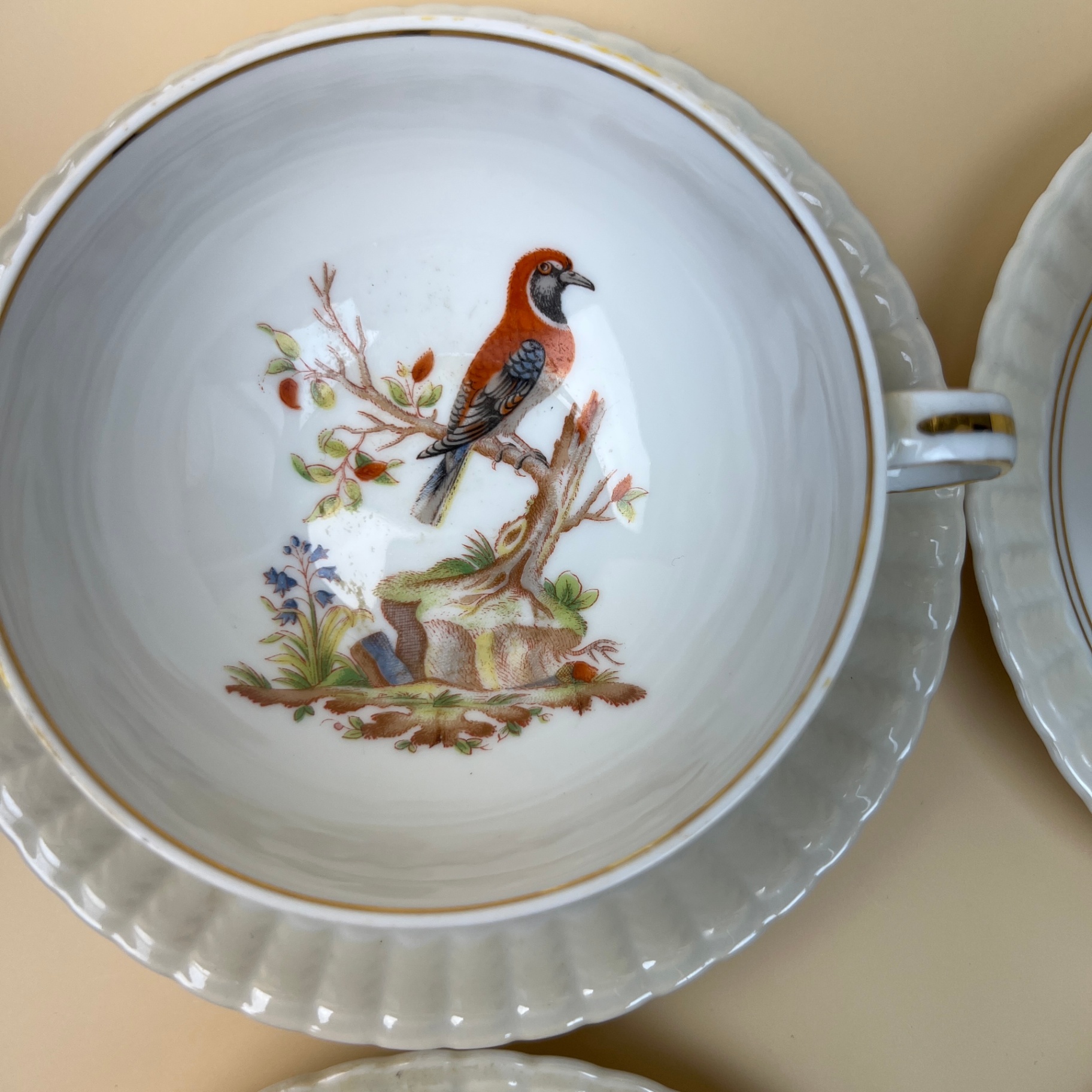 Bernardaud & Co Limoges Fine Porcelain Teacup Set Bird Species 1700s Design - image 6 of 13