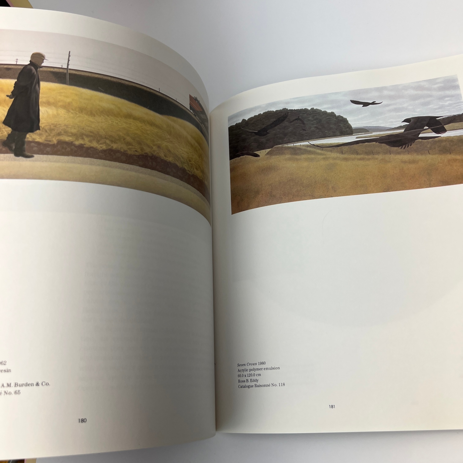 Alex Colville Book by David Burnett Canadian Art 272 pages - image 7 of 8