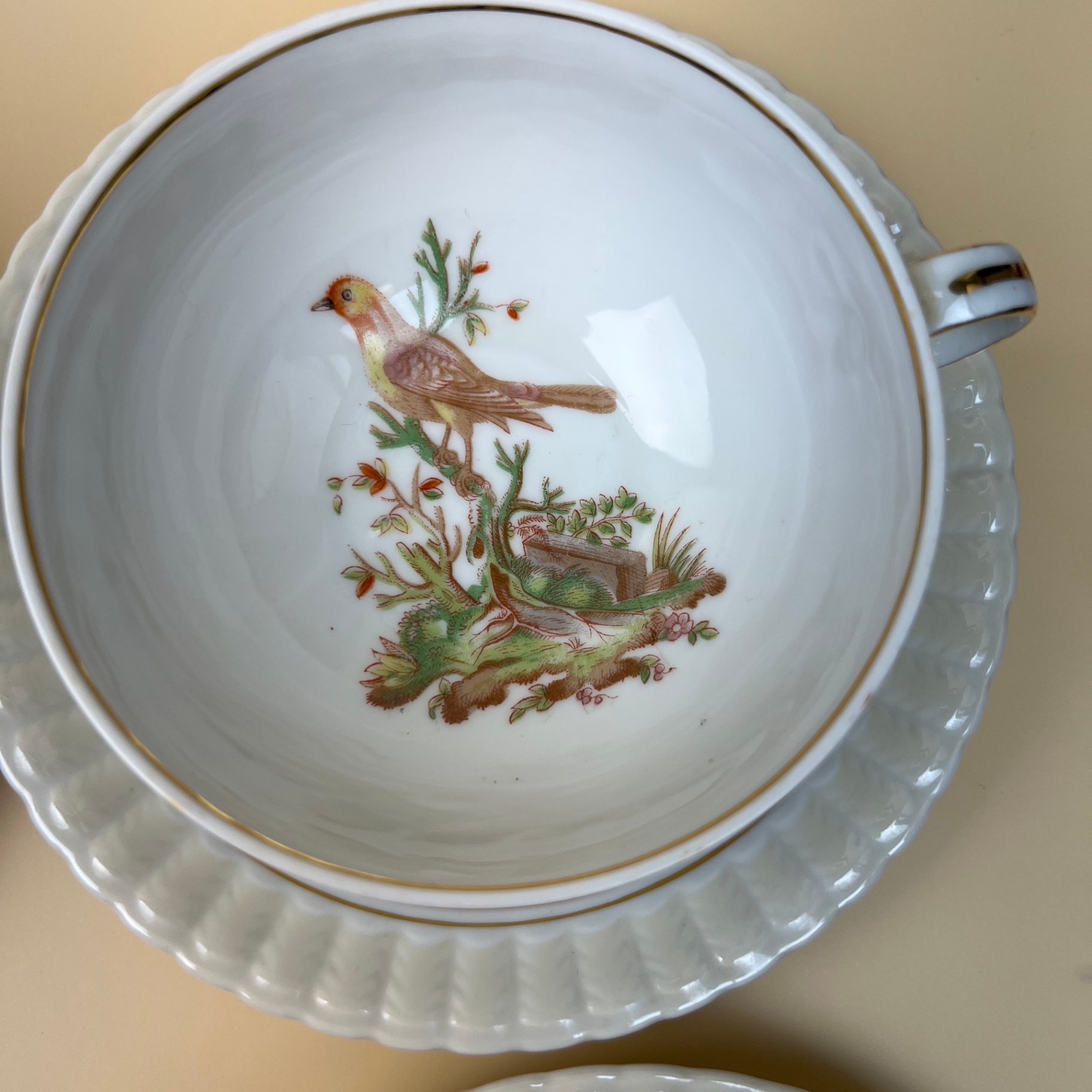Bernardaud & Co Limoges Fine Porcelain Teacup Set Bird Species 1700s Design - image 5 of 13