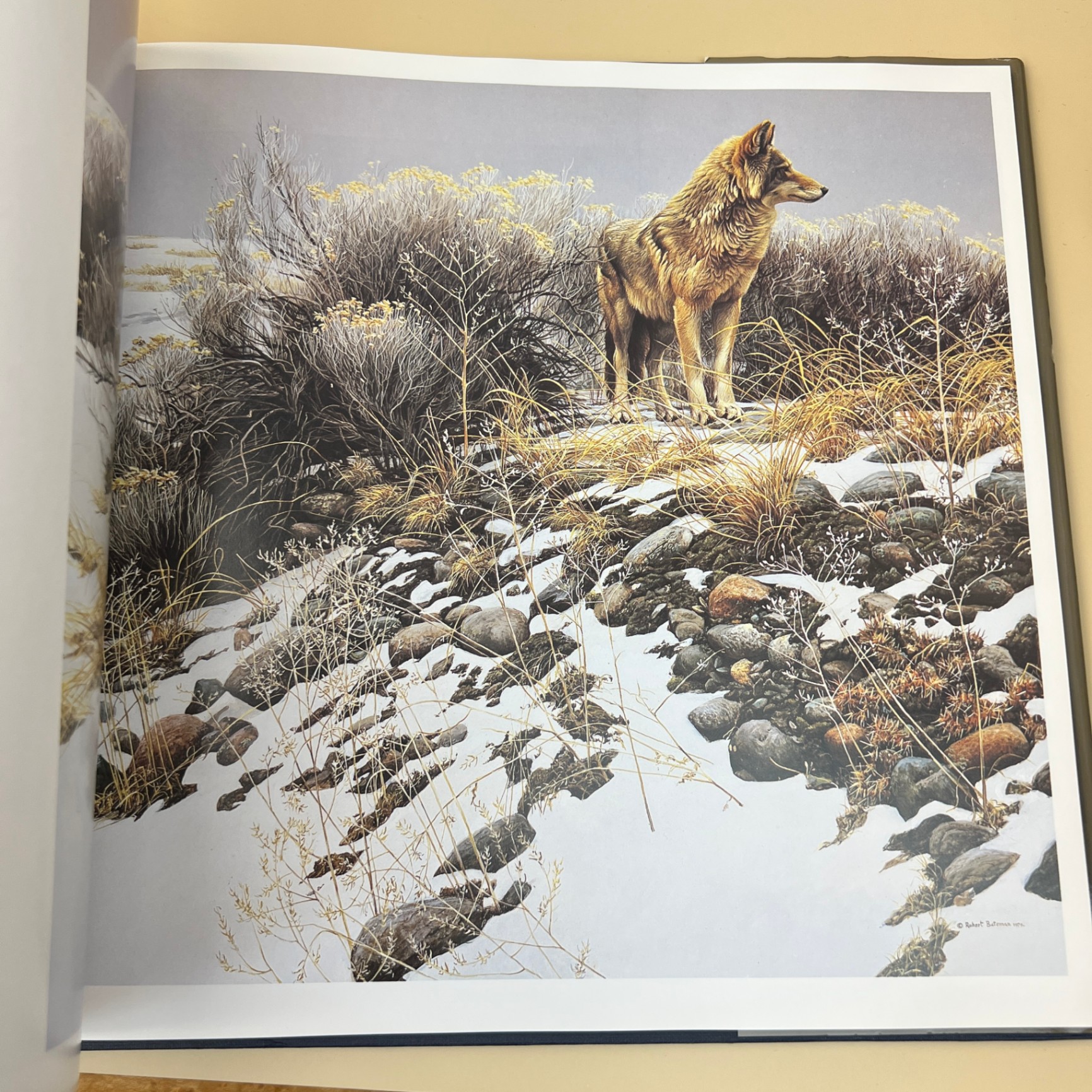 The Art of Robert Bateman Large Coffee Table Book Ramsay Derry - image 2 of 8