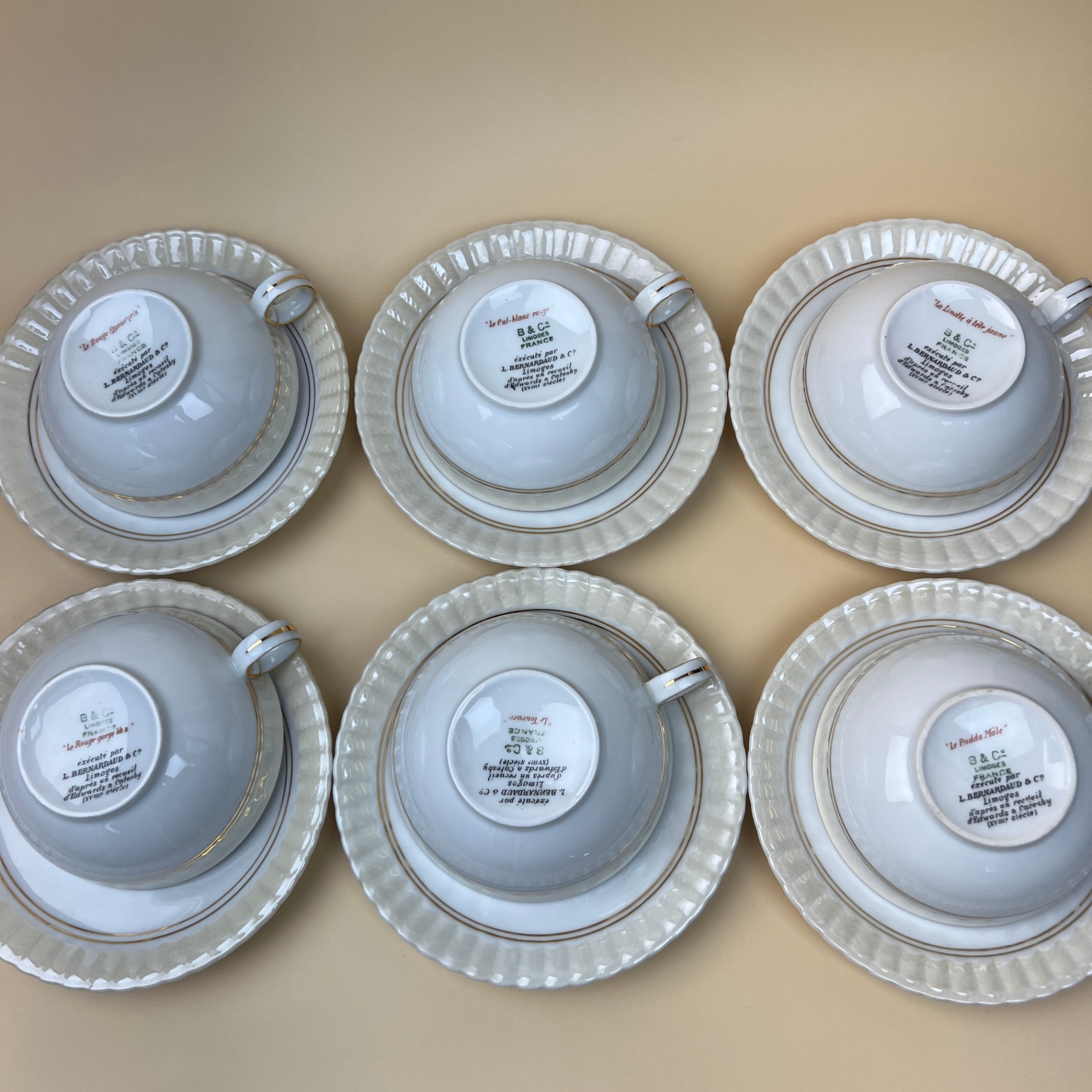 Bernardaud & Co Limoges Fine Porcelain Teacup Set Bird Species 1700s Design - image 3 of 13