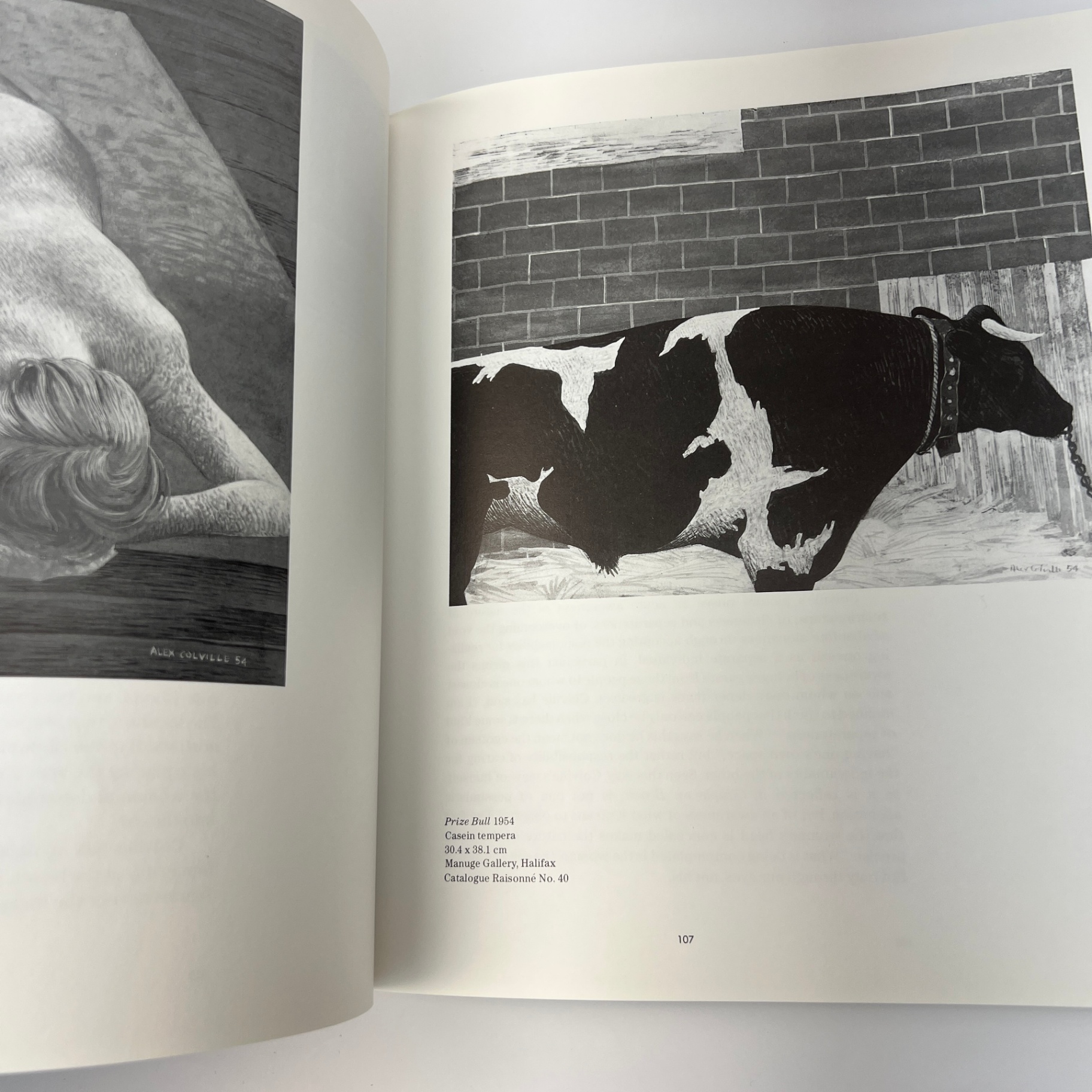 Alex Colville Book by David Burnett Canadian Art 272 pages - image 2 of 8
