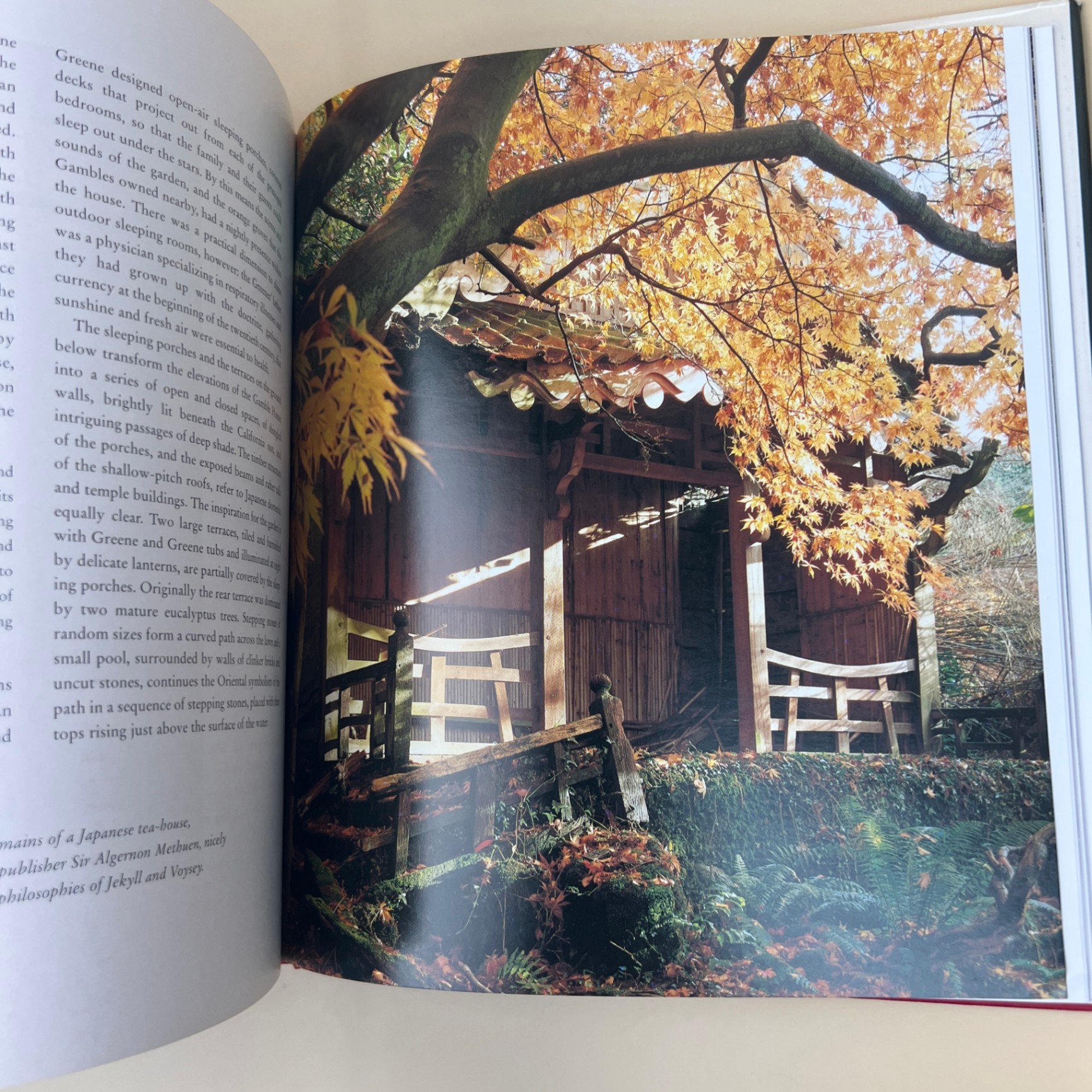 Arts and Crafts Gardens Book by Wendy Hitchmough William Morris Style - image 5 of 10