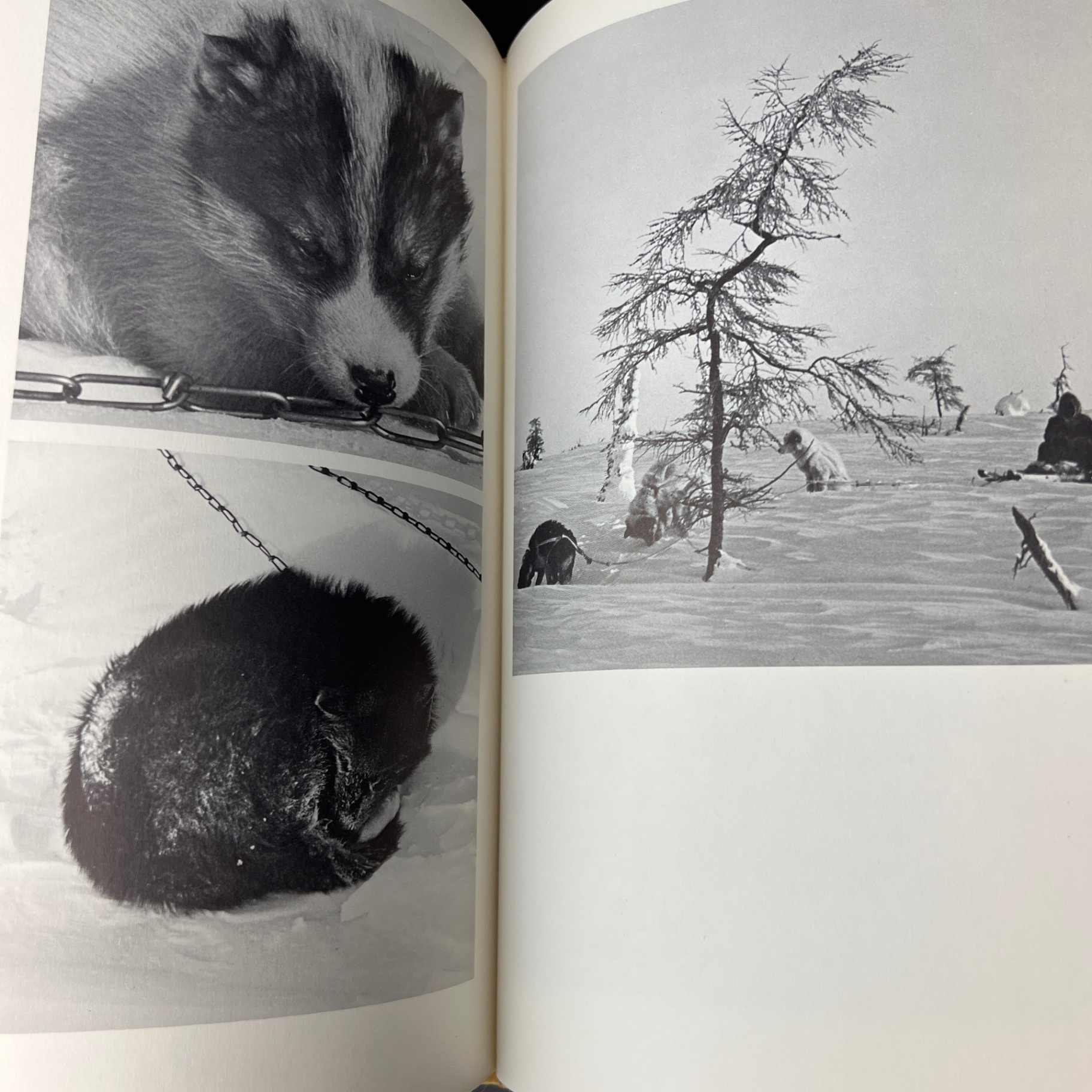 Richard Harrington Canadian Photographer The Inuit Life As It Was - image 7 of 9
