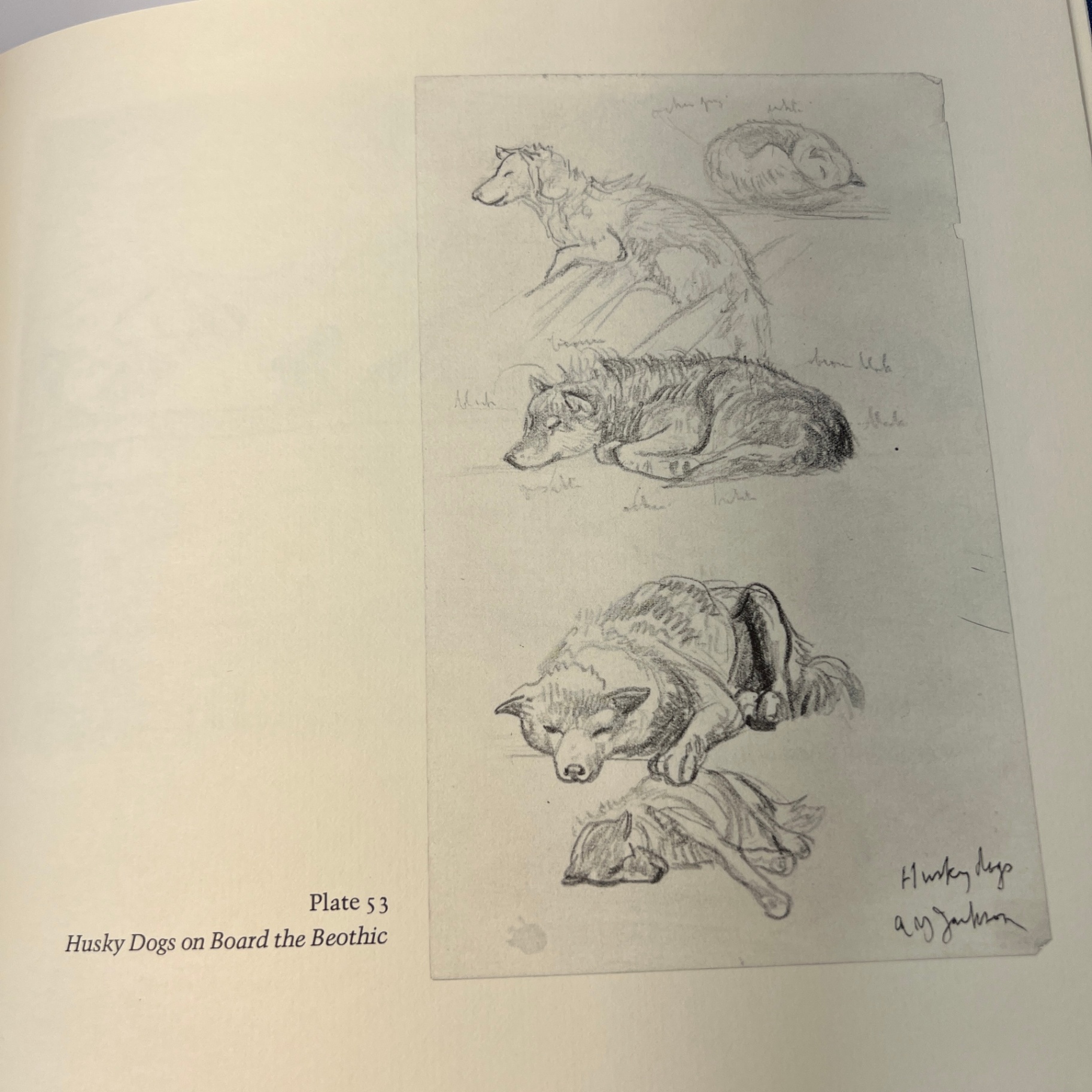 AY Jackson The Arctic 1927 Book Group of Seven Canadian Artist Inuit Drawings - image 9 of 9