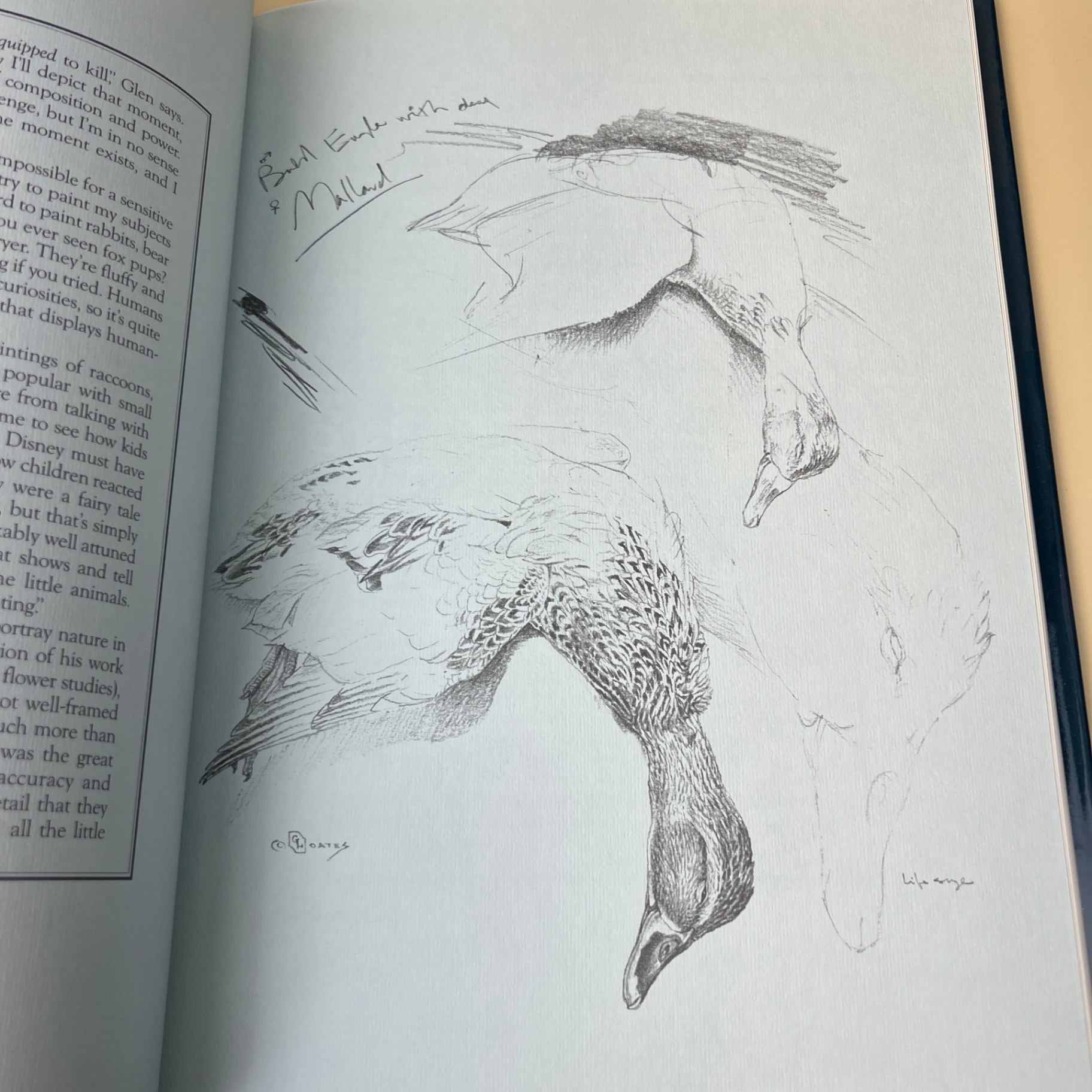Glen Loates a Brush With Life Large Book Hardcover Wildlife Art - image 4 of 10