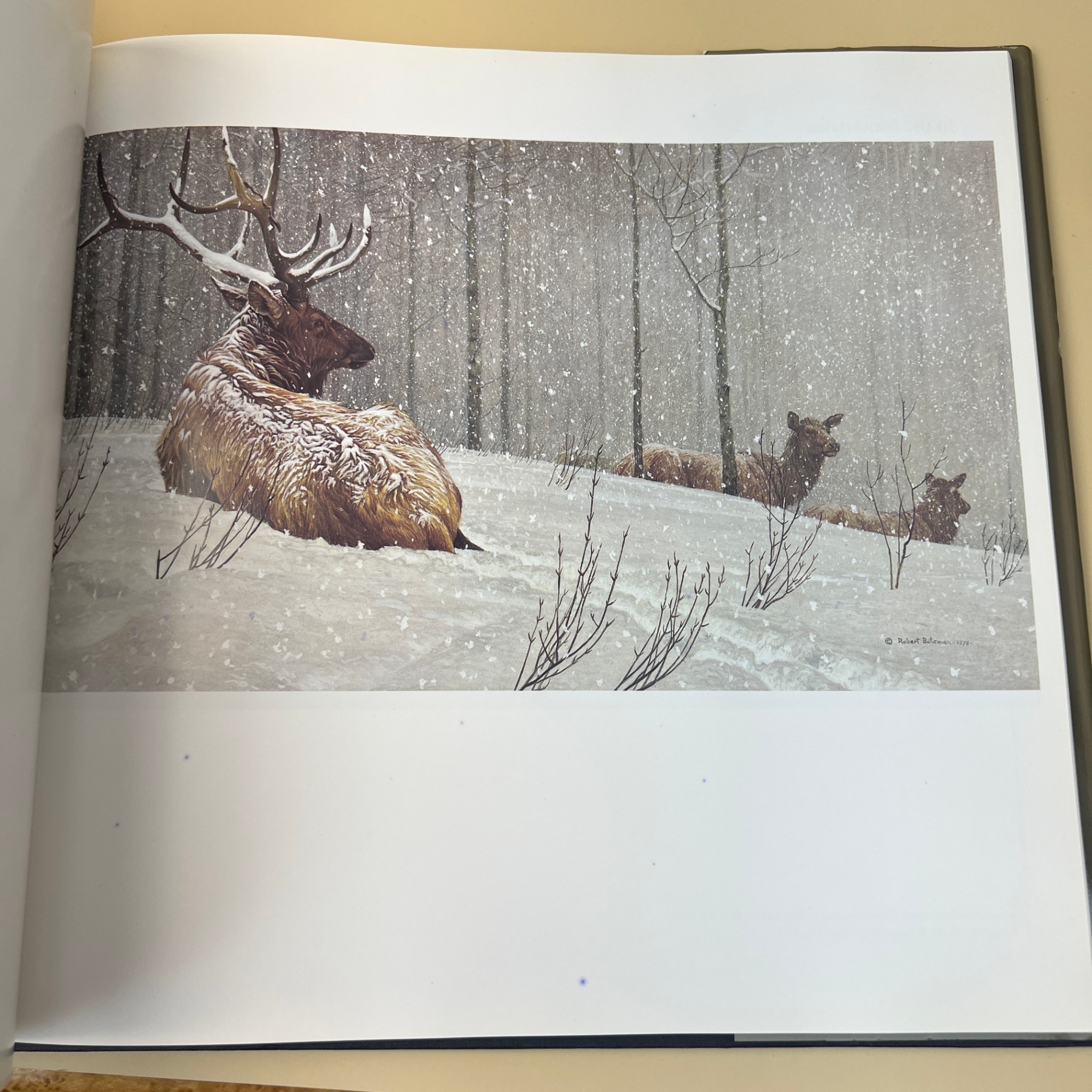 The Art of Robert Bateman Large Coffee Table Book Ramsay Derry - image 3 of 8