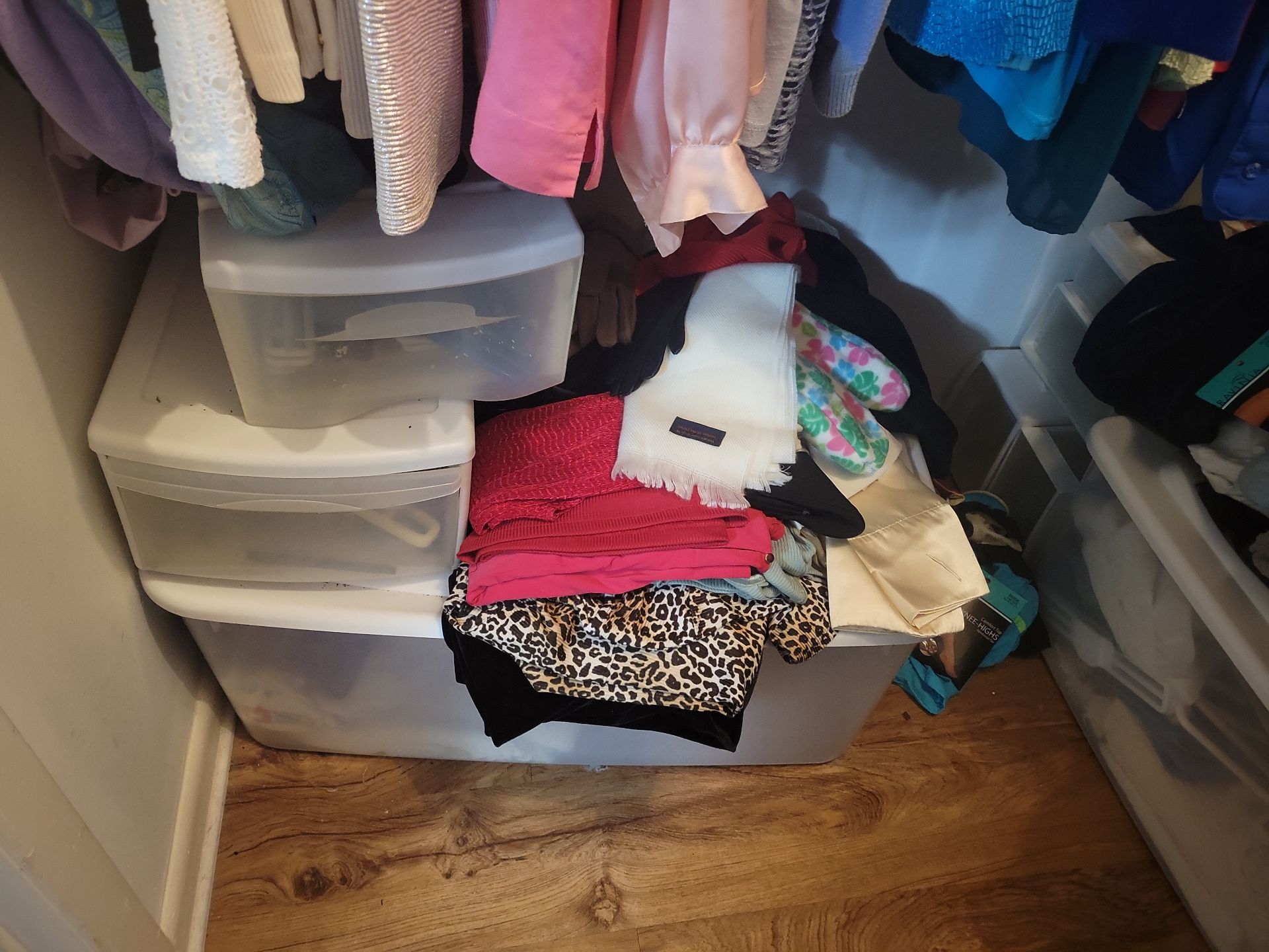 Assorted Women's Clothing and Jackets - image 14 of 18