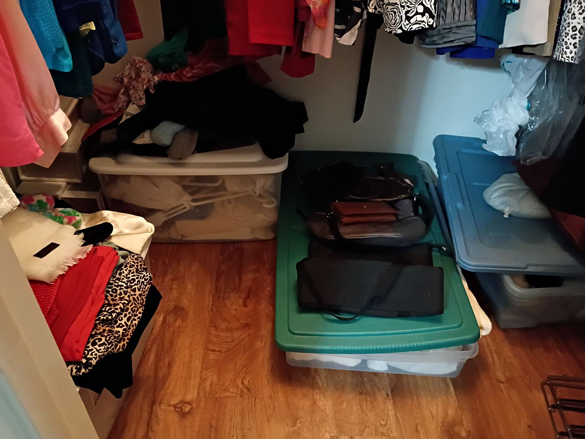 Assorted Women's Clothing and Storage Bins - image 1 of 9