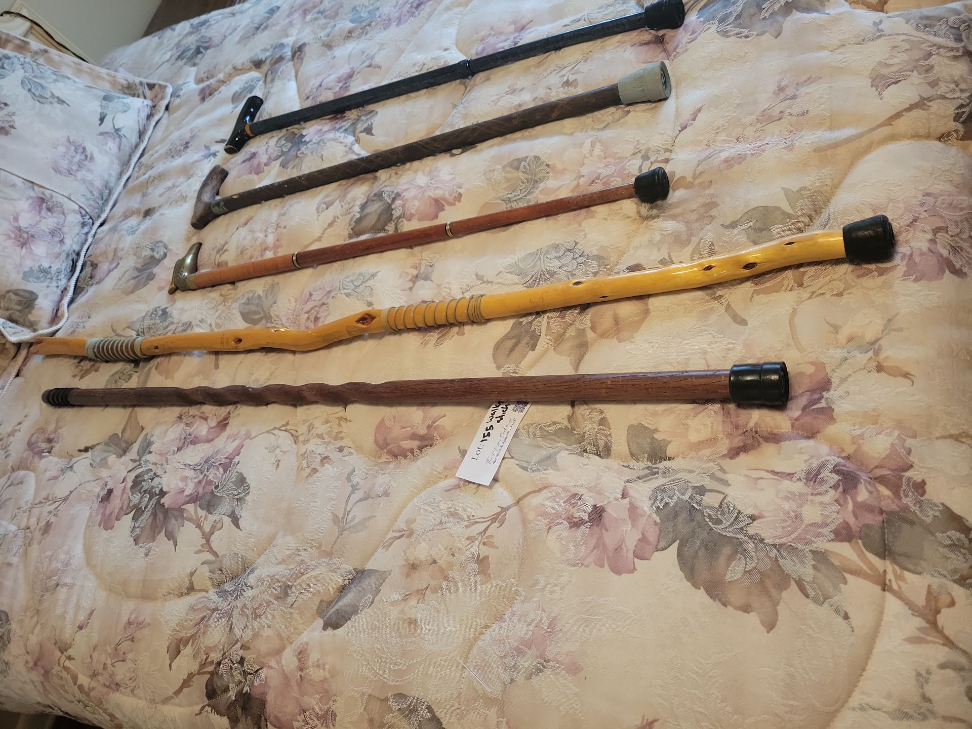 Collection of Walking Canes and Walking Sticks - image 3 of 6