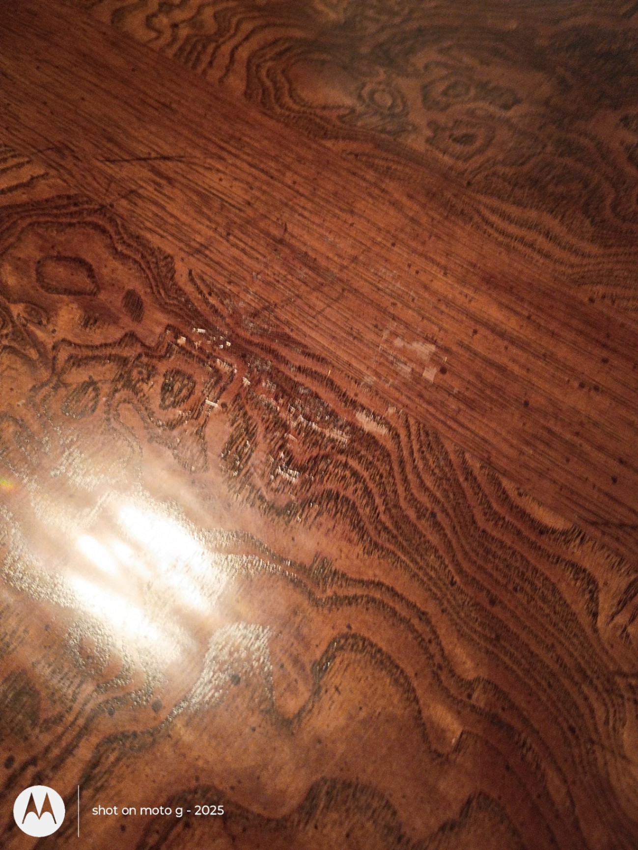 Wood Dining Table and Six Cane-Back Chairs - image 3 of 15