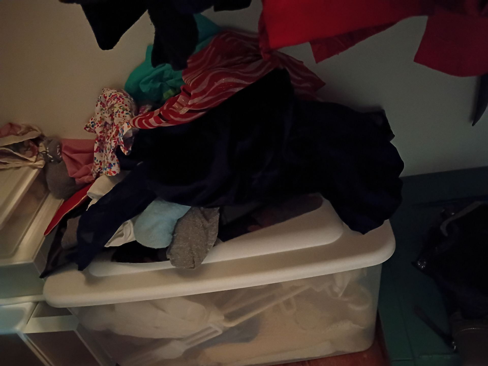 Assorted Women's Clothing and Storage Bins - image 4 of 9