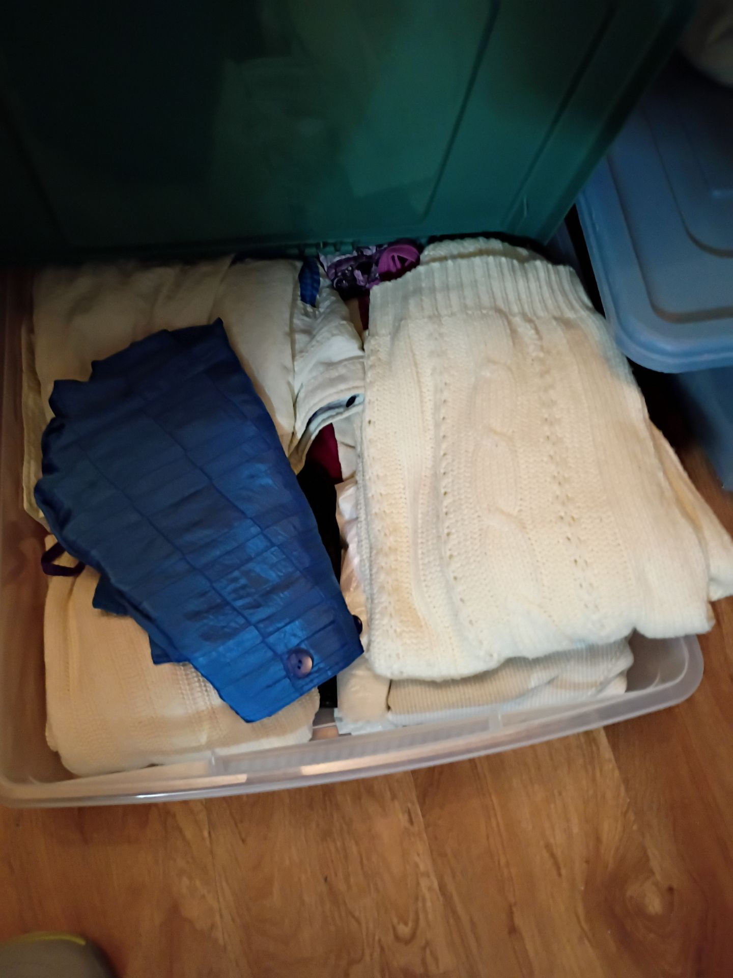 Assorted Women's Clothing and Storage Bins - image 7 of 9