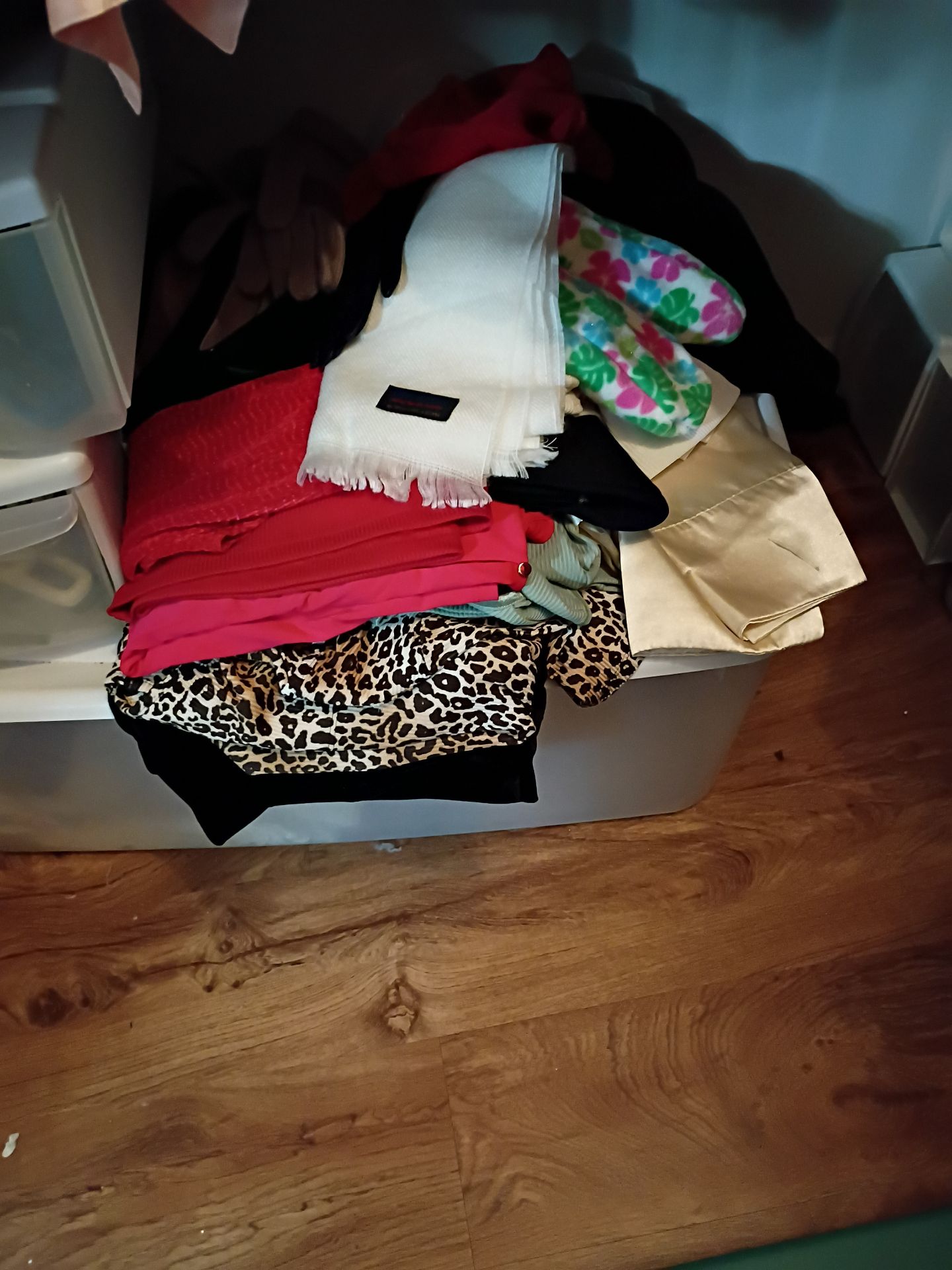 Assorted Women's Clothing and Storage Bins - image 3 of 9