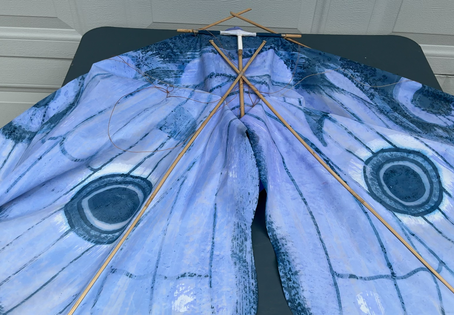 Moth Kite - image 4 of 4