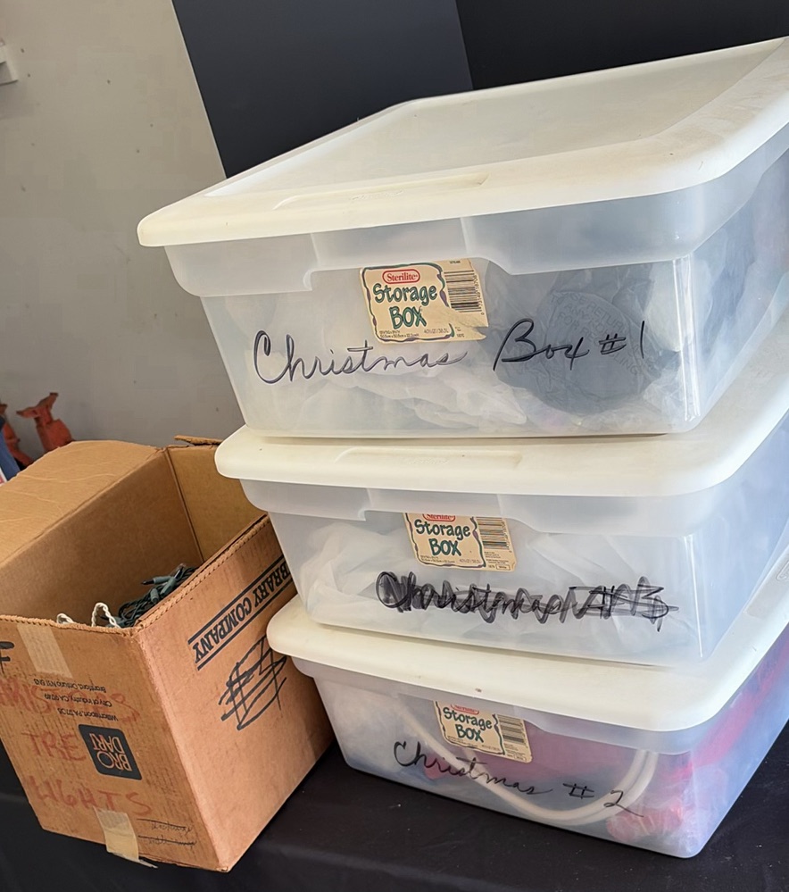 Christmas Holiday Decorations and Storage Bins - image 1 of 9