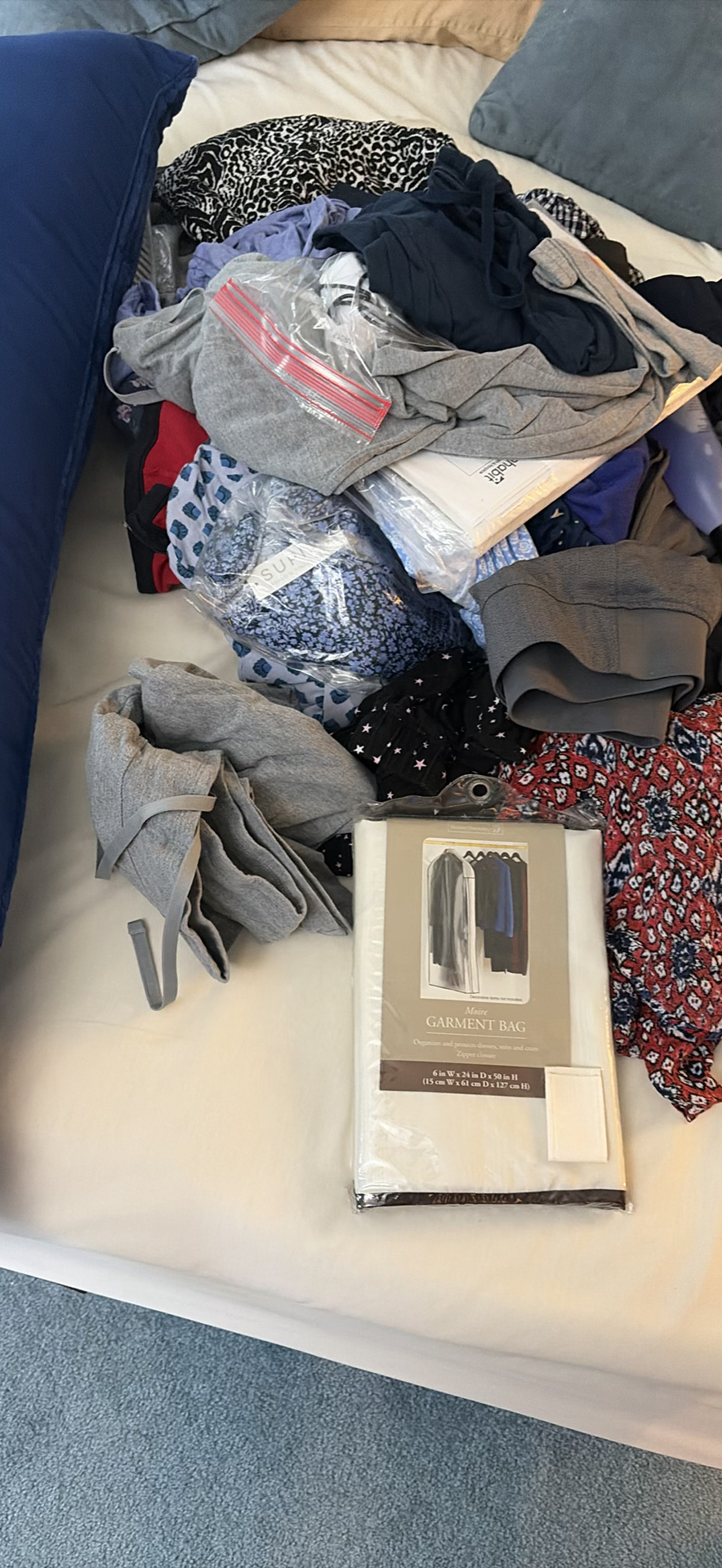 Assorted Clothing Items, Body Pillow, and HomeTrends Garment Bag - image 3 of 6